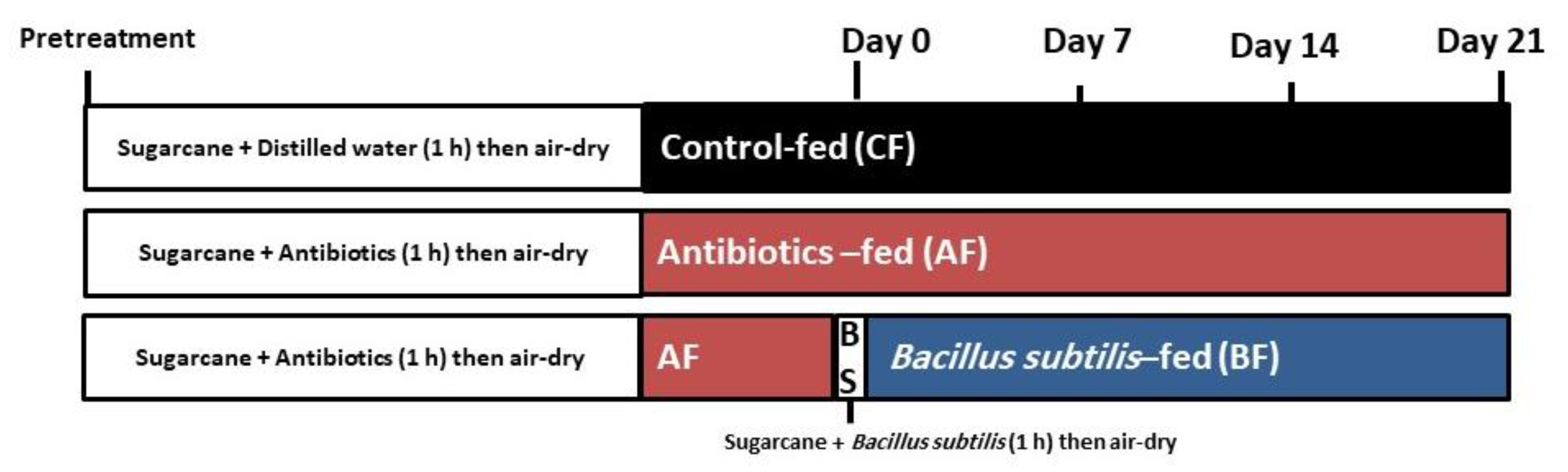 Microbiolres 15 00092 g001