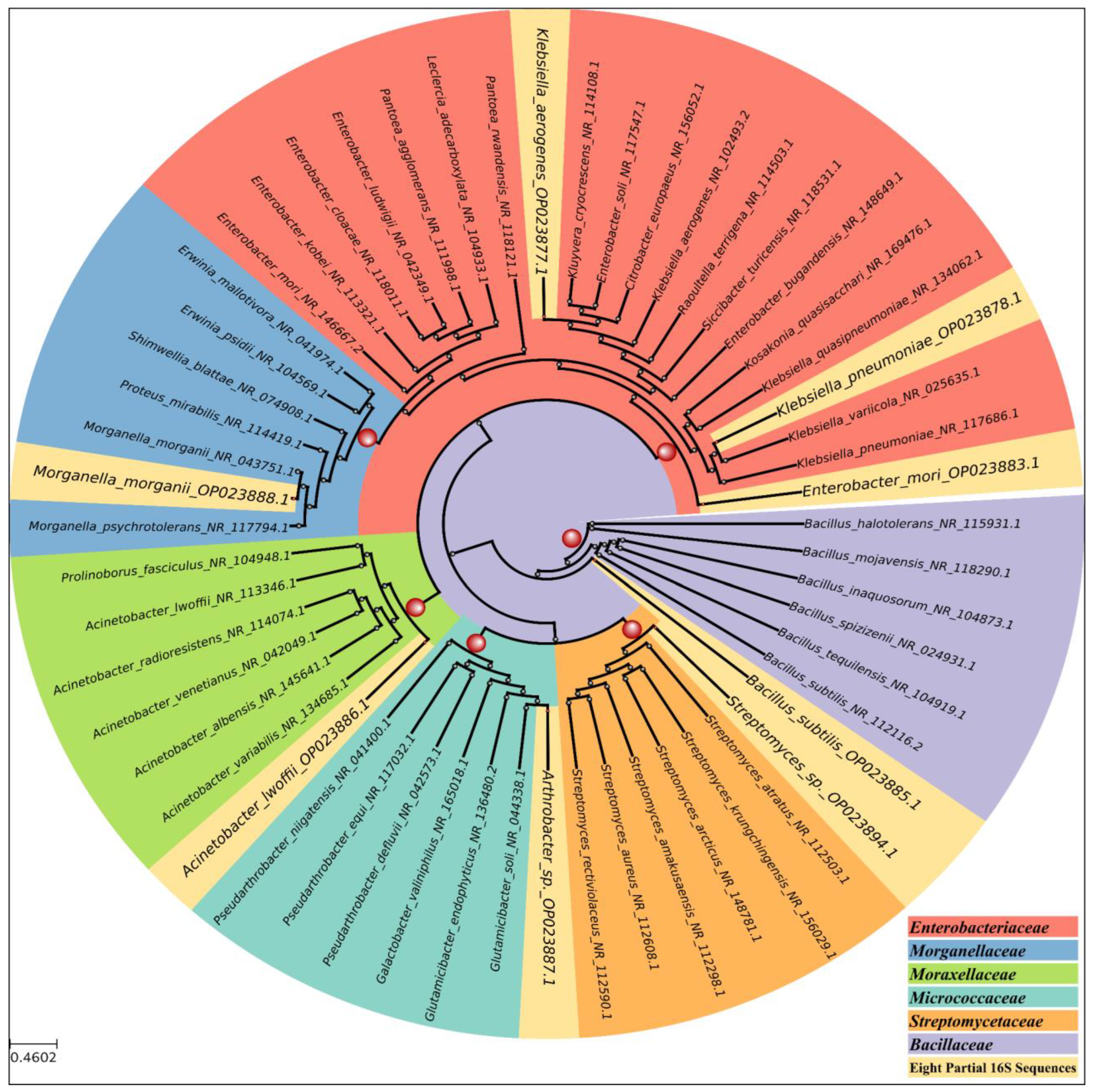 Microbiolres 15 00092 g002