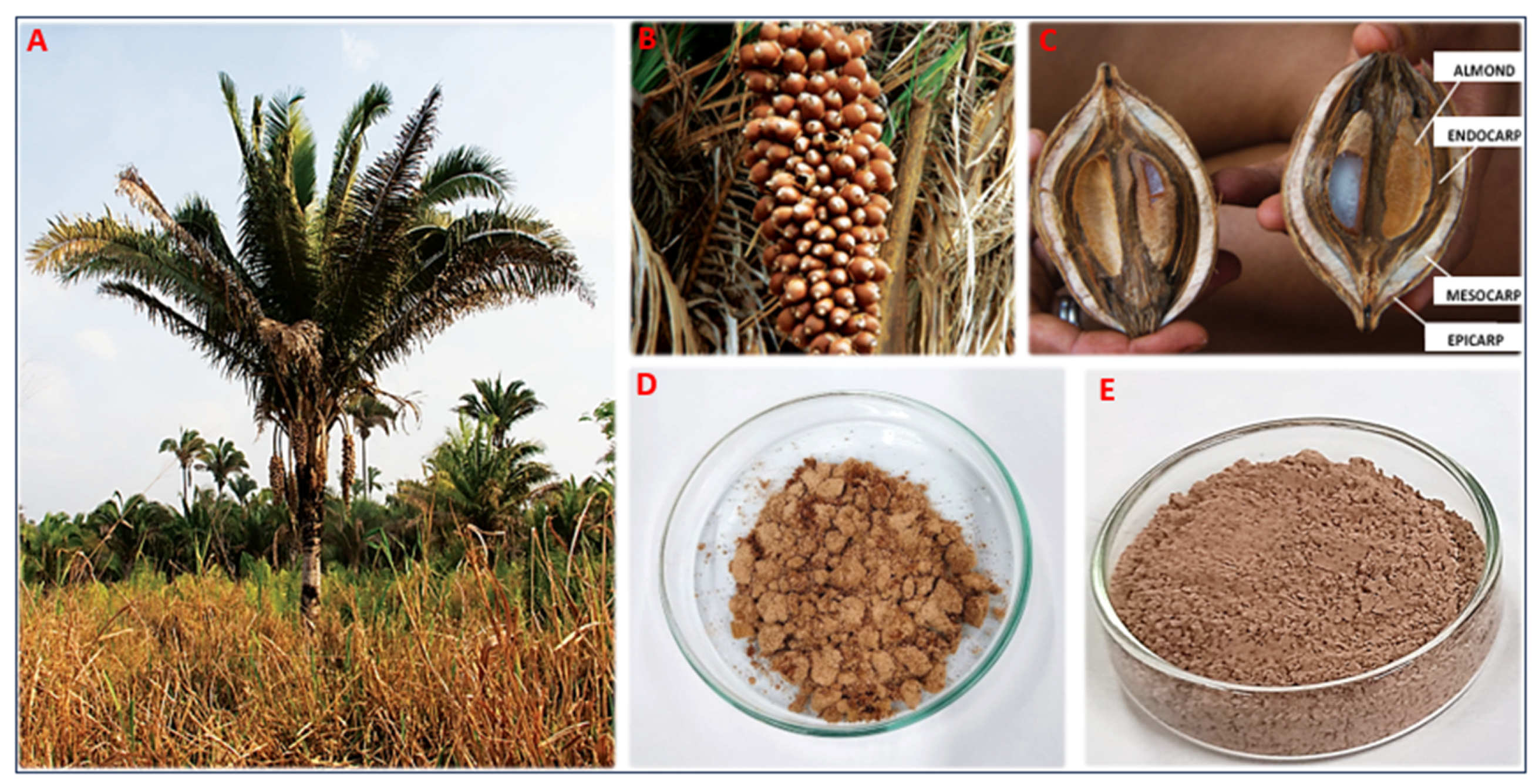 Microbiolres 15 00093 g001