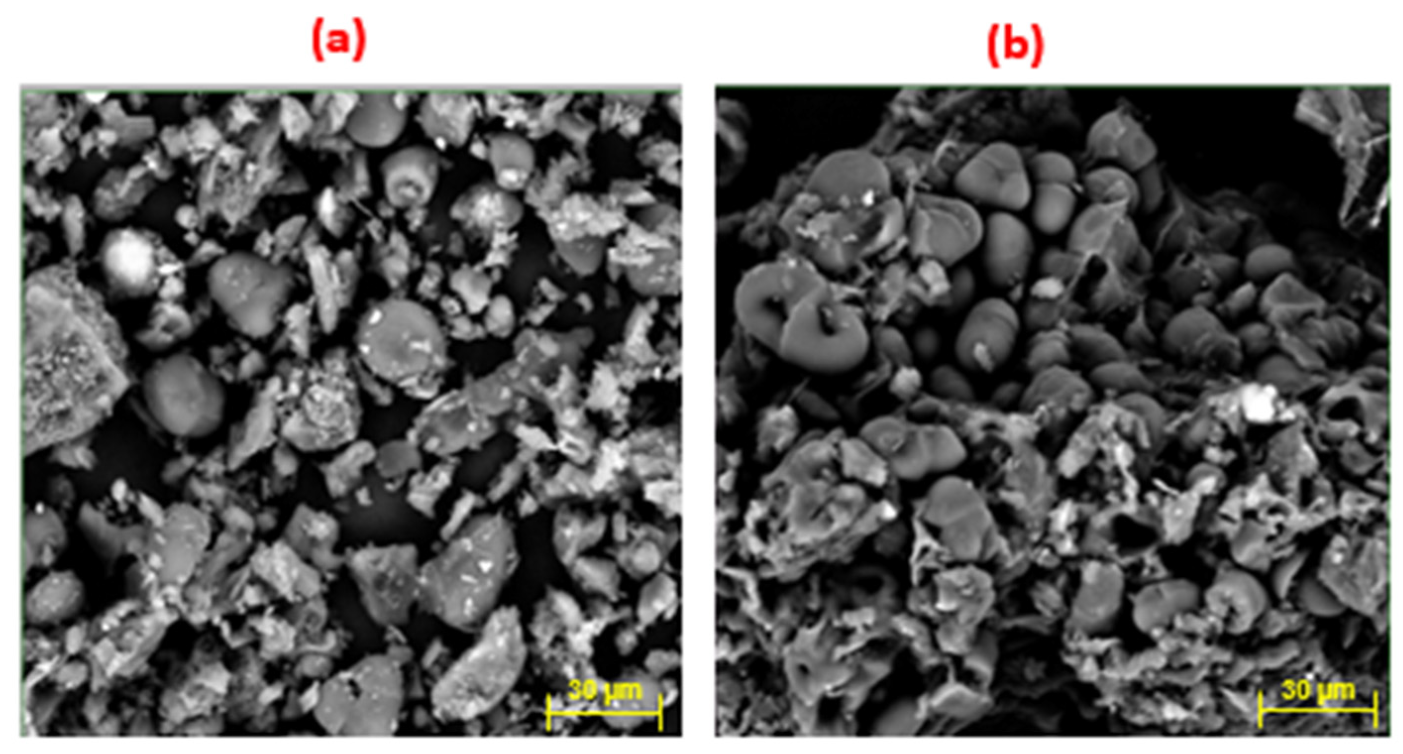 Microbiolres 15 00093 g003
