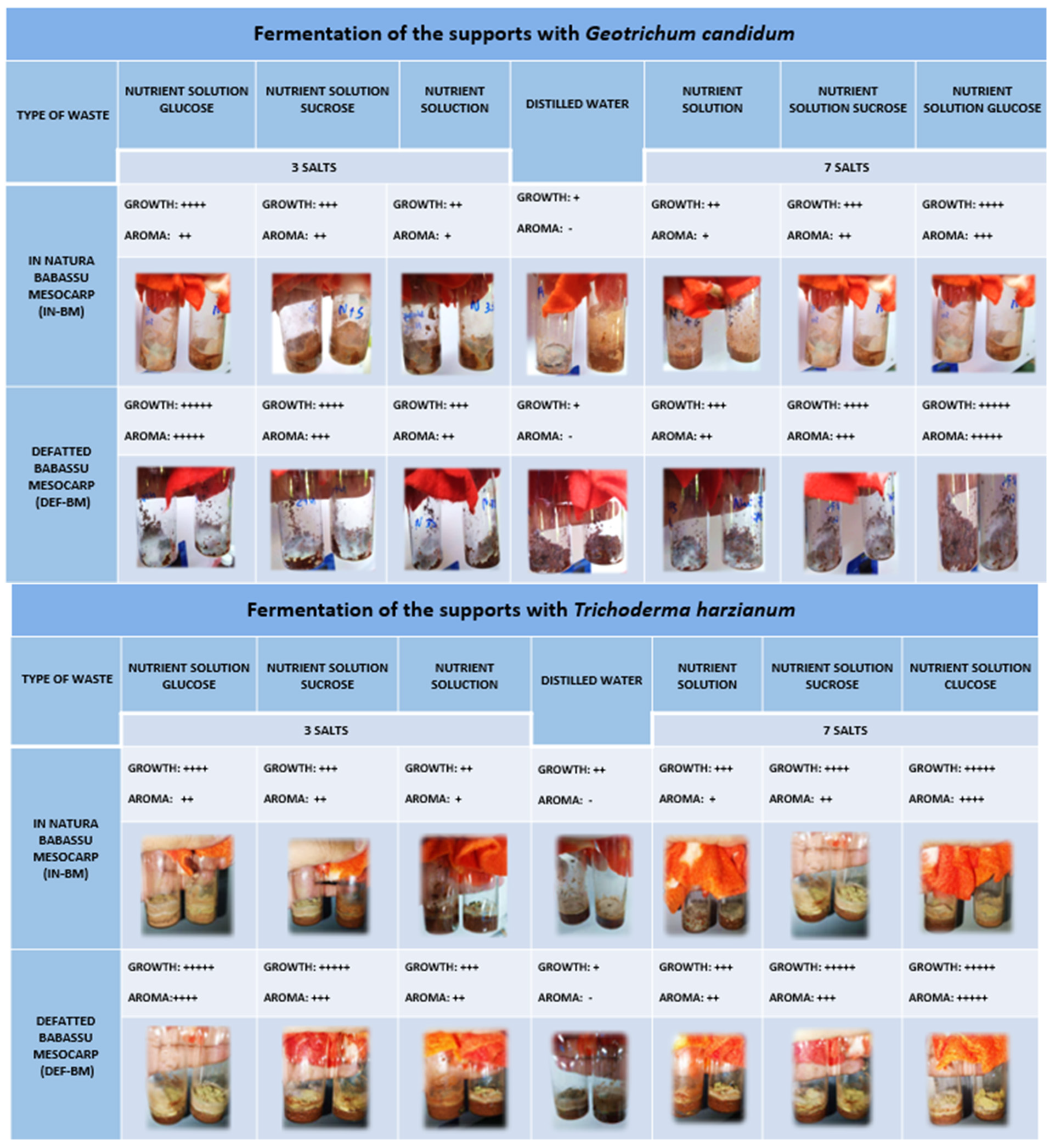 Microbiolres 15 00093 g004