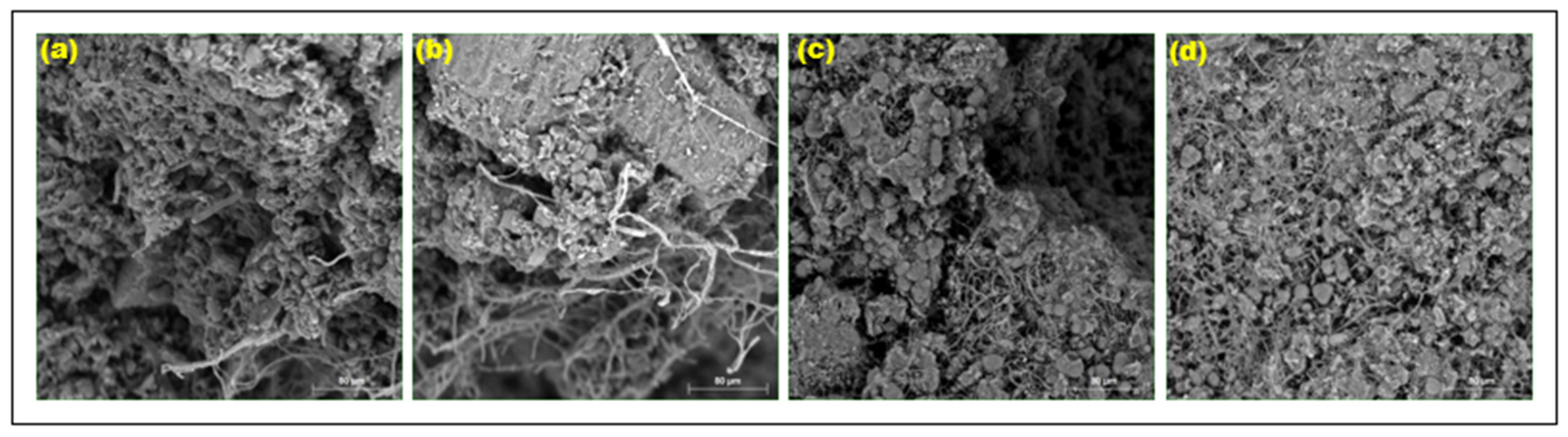 Microbiolres 15 00093 g008