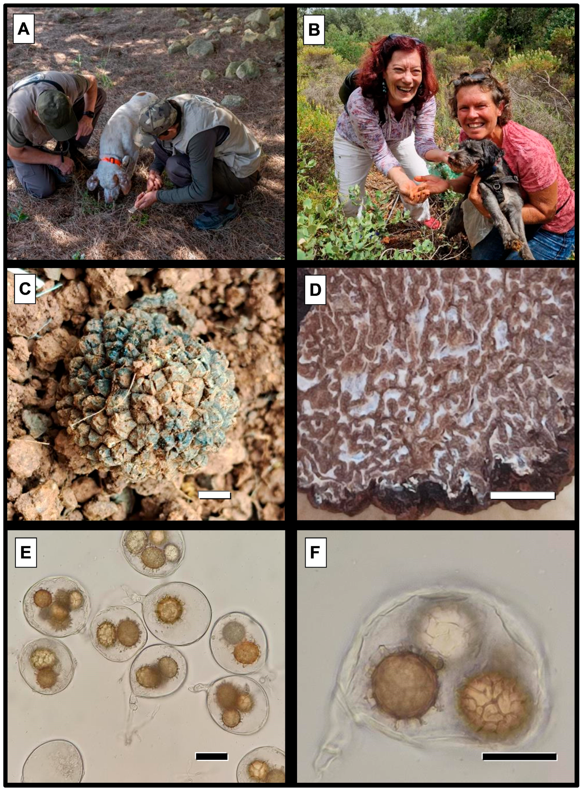 Microbiolres 15 00101 g002