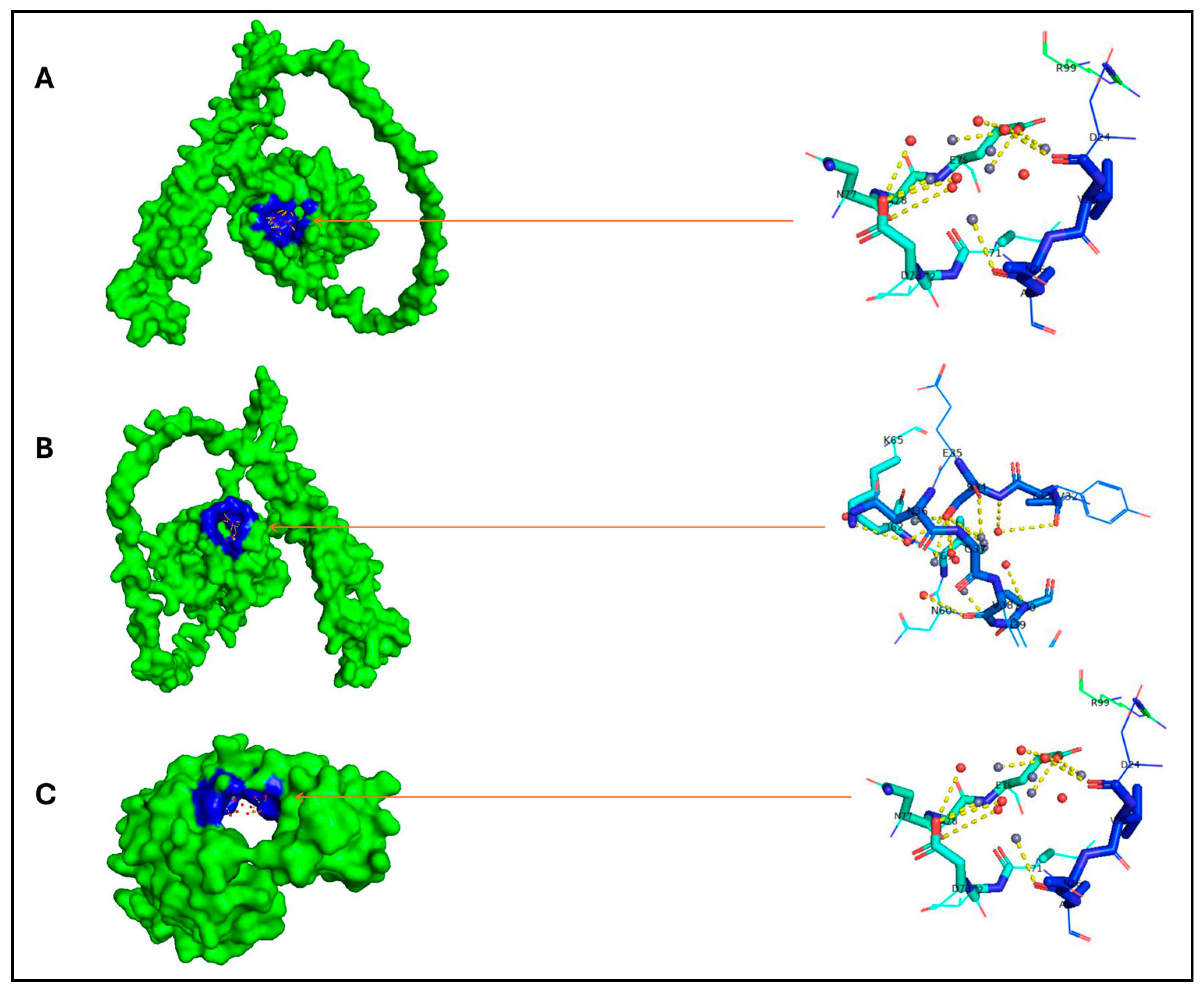 Microbiolres 15 00110 g010