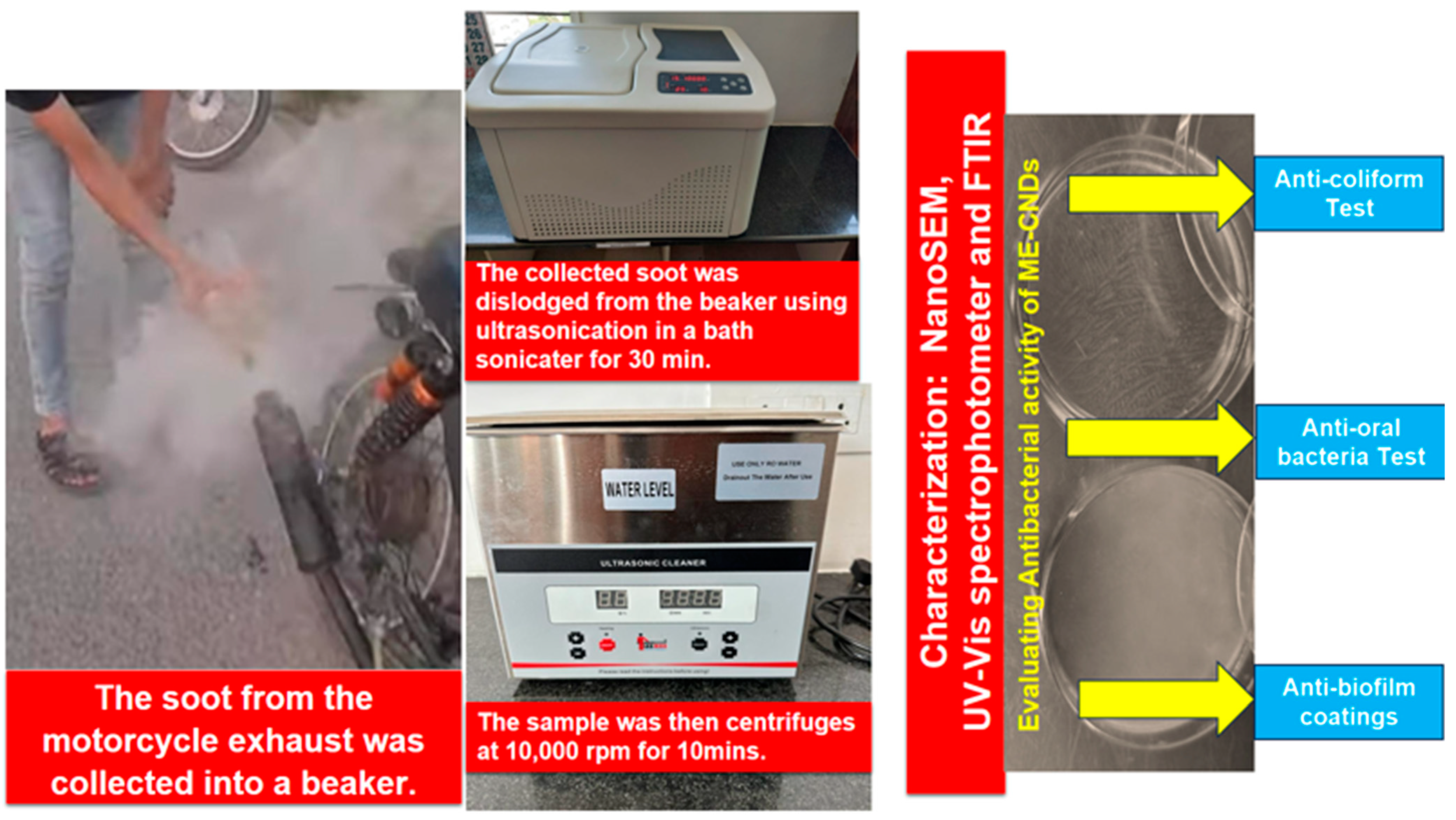 Microbiolres 15 00115 g001