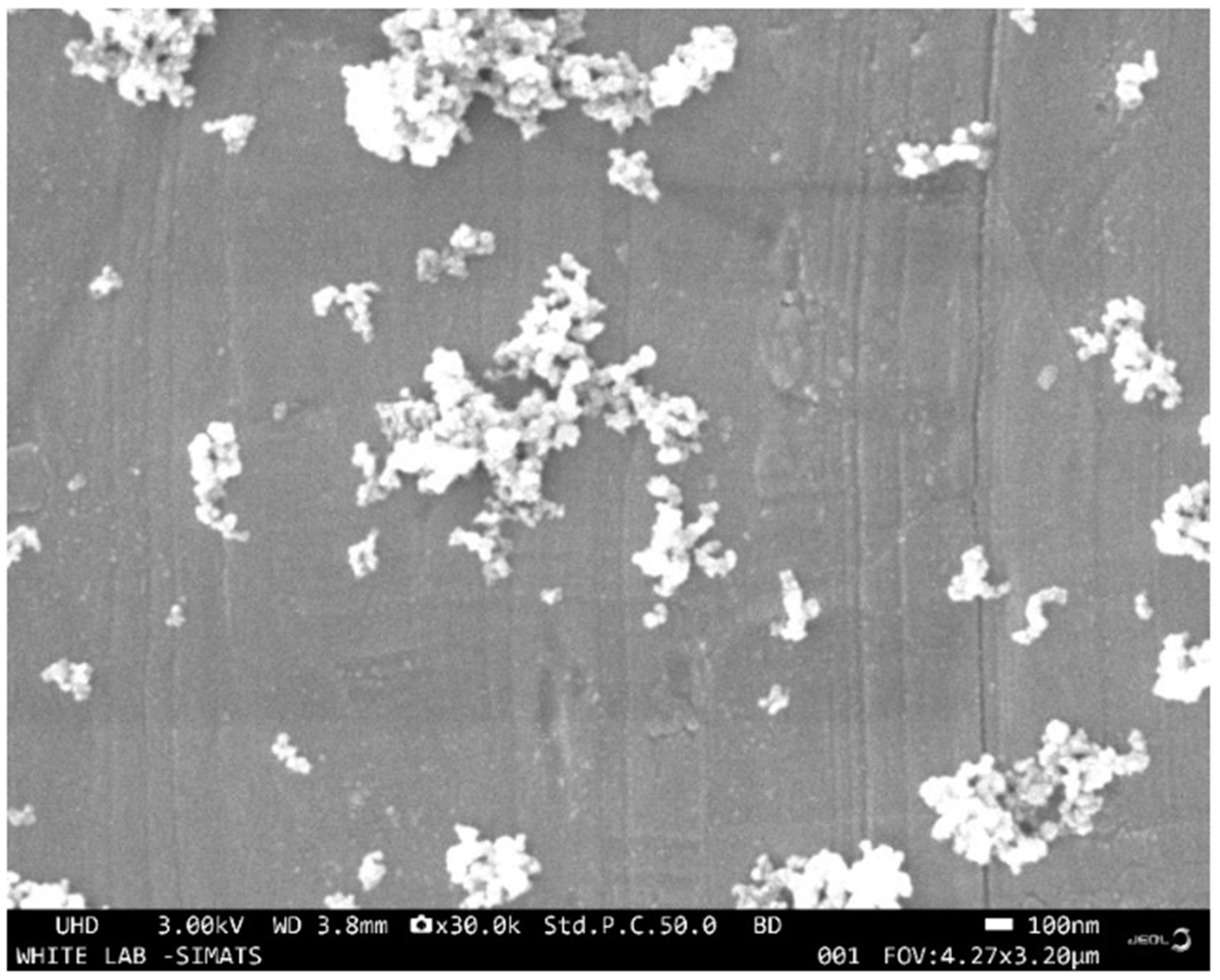 Microbiolres 15 00115 g002