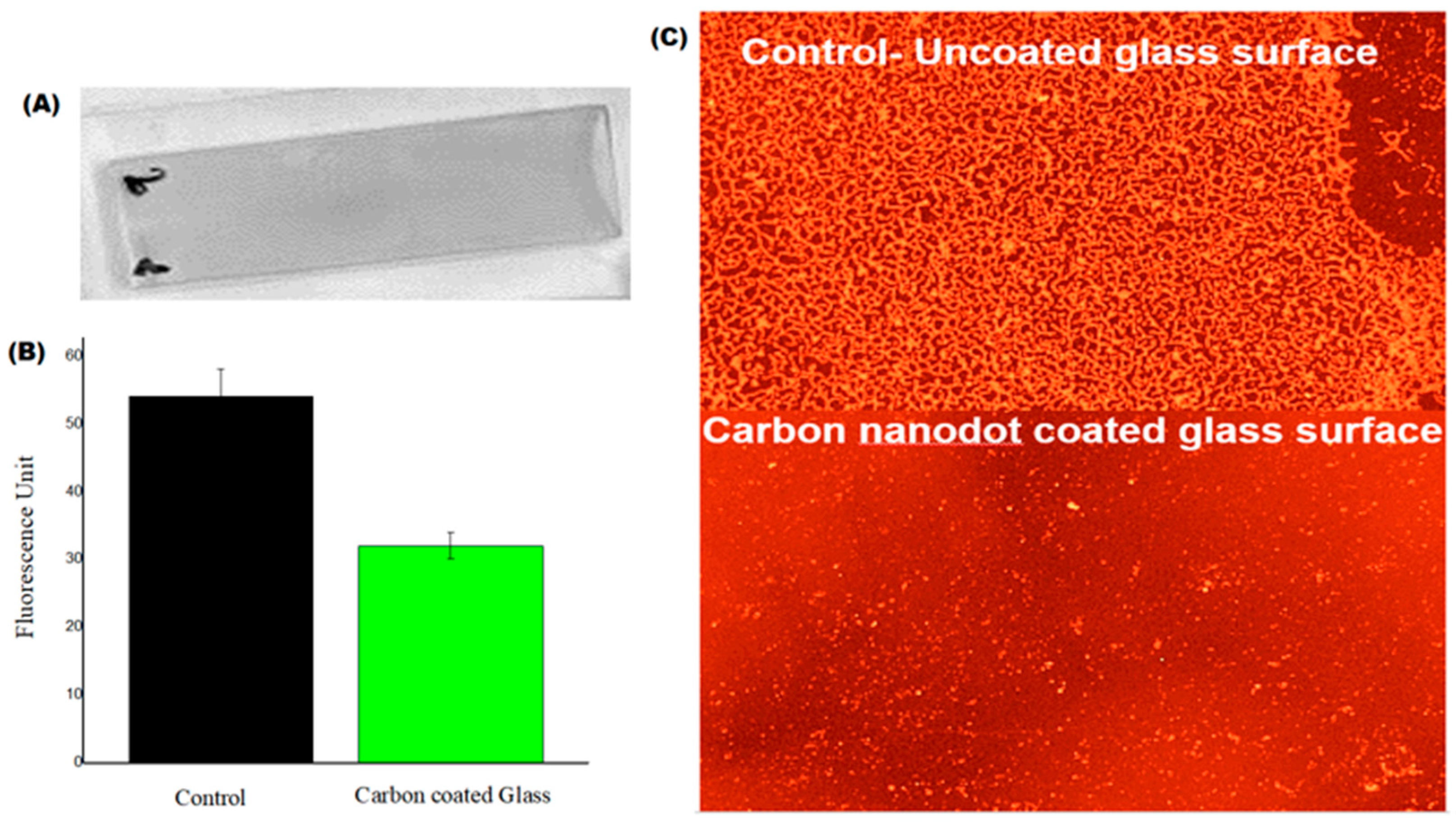 Microbiolres 15 00115 g006