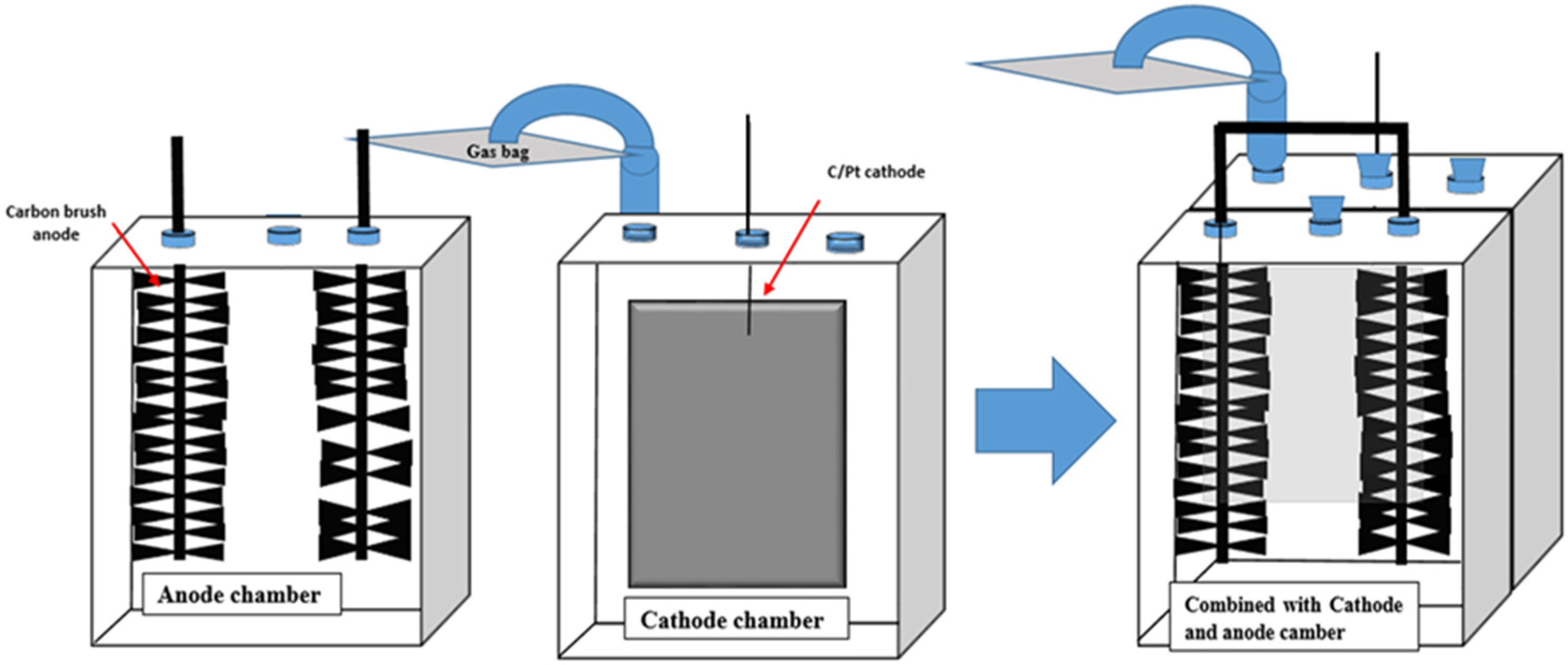 Microbiolres 15 00124 g001