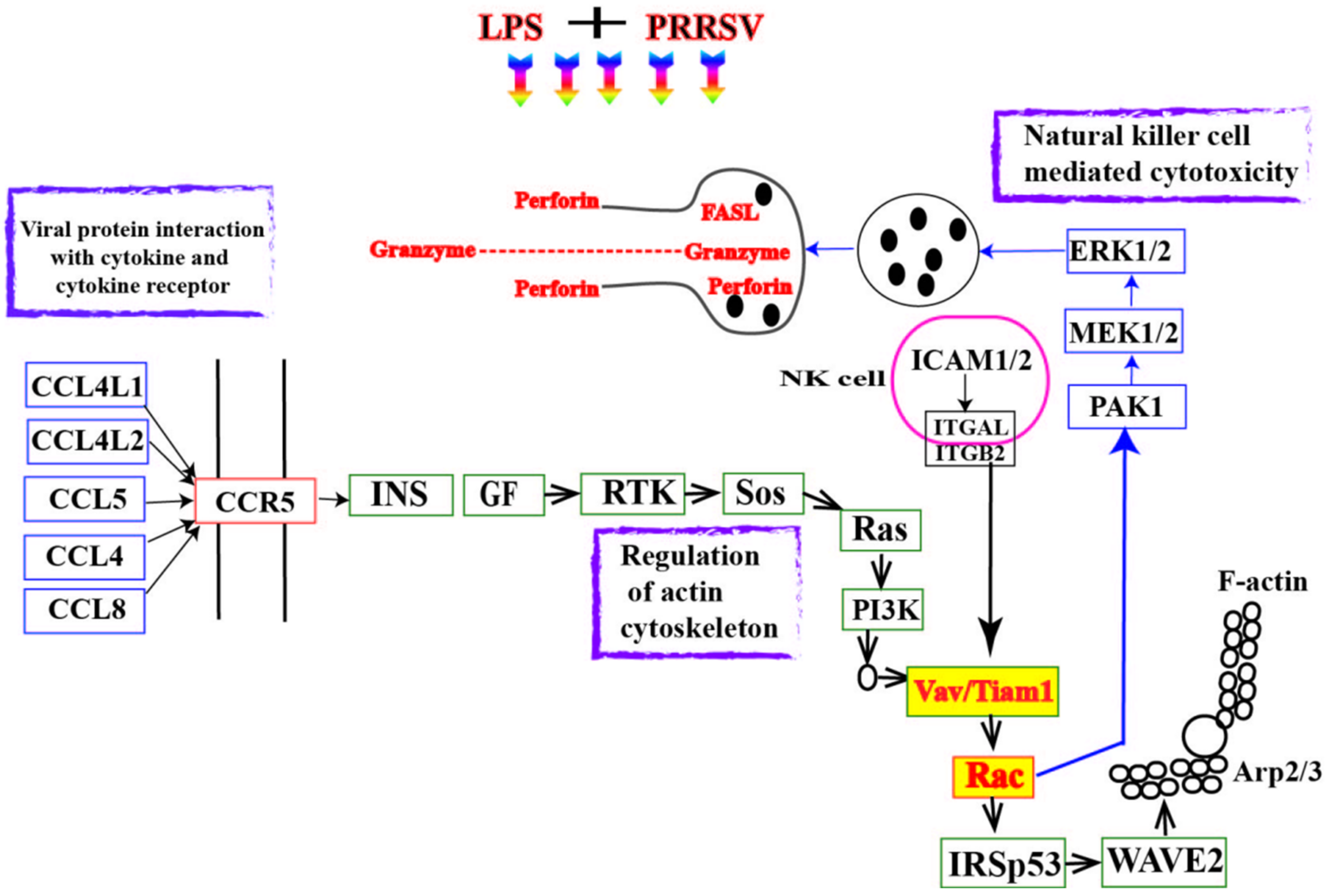 Microbiolres 15 00129 g006