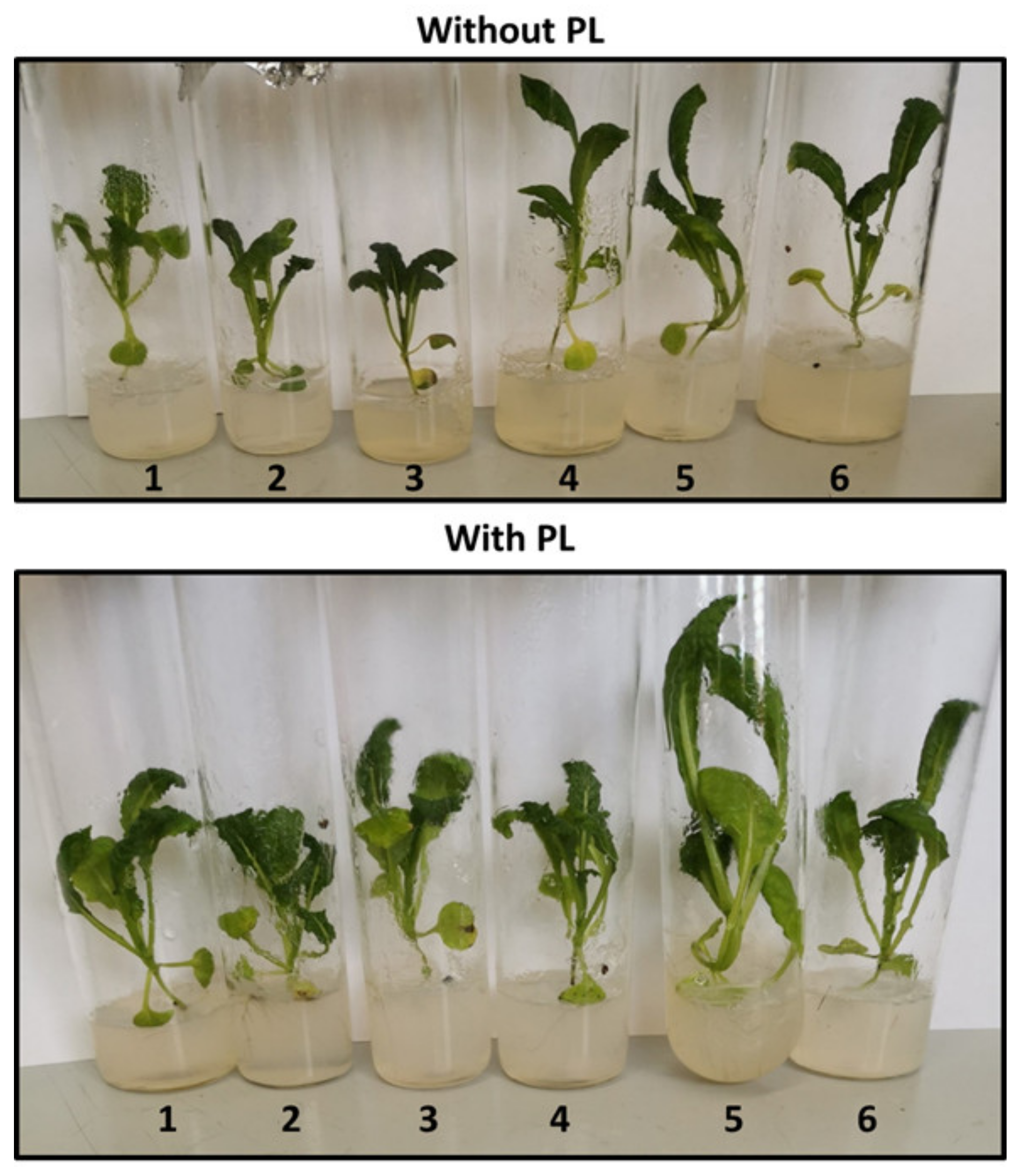 Microbiolres 15 00131 g002