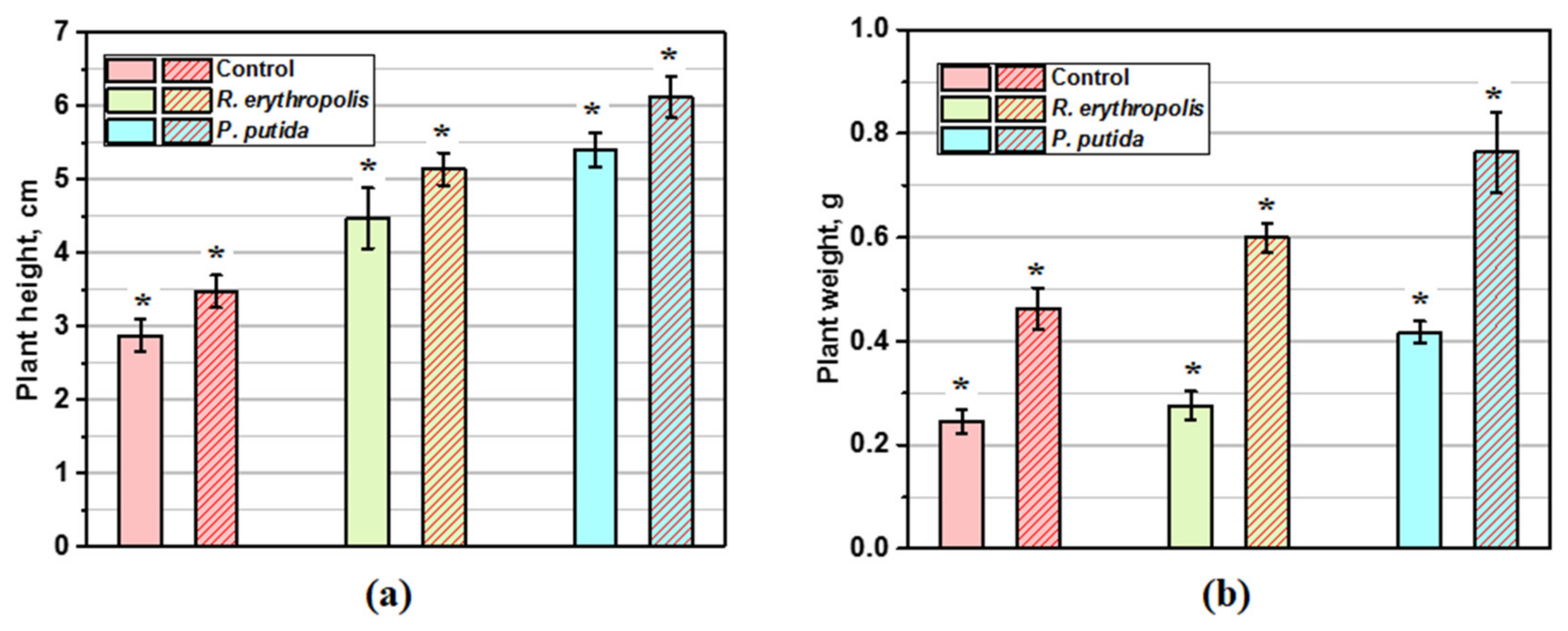 Microbiolres 15 00131 g003