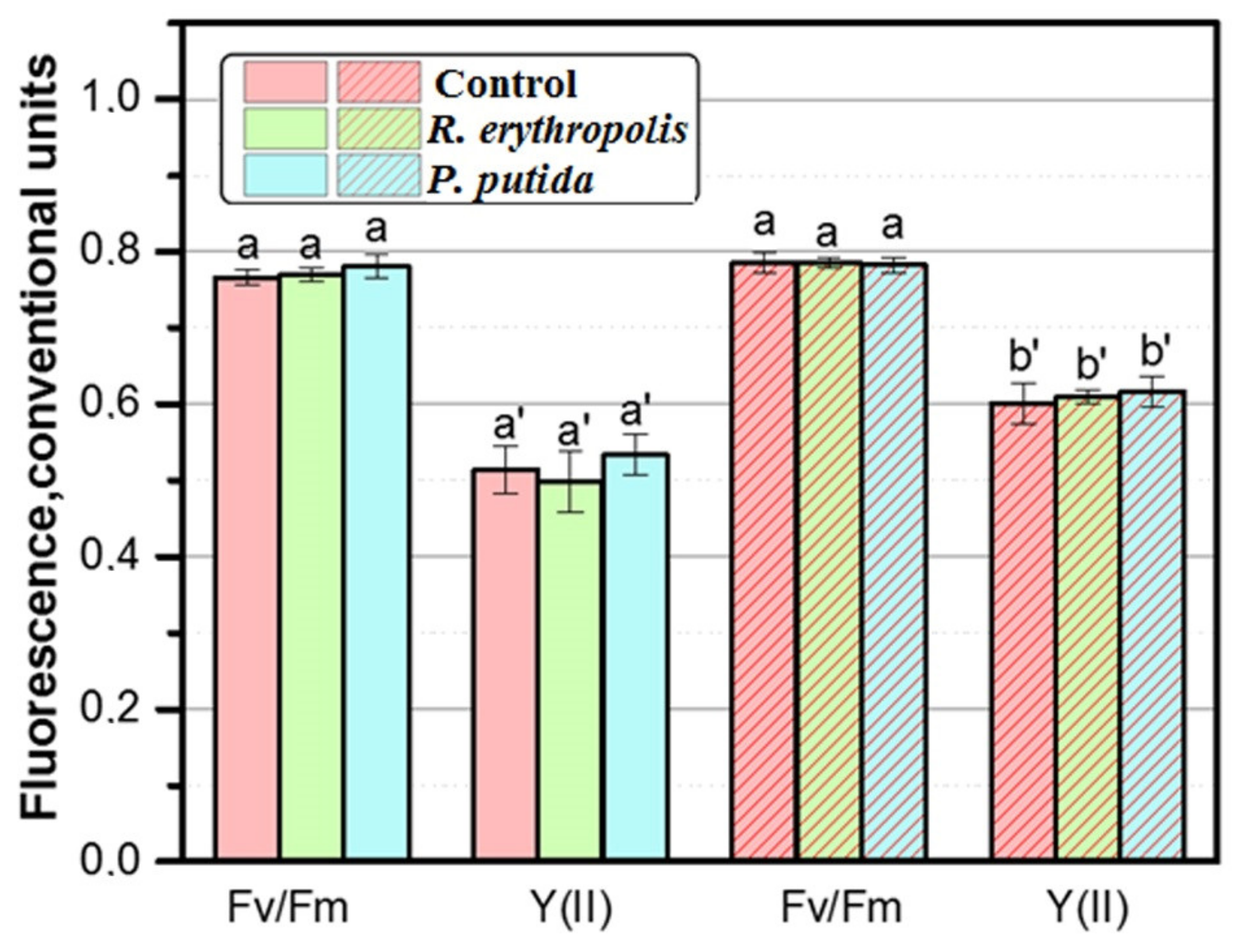 Microbiolres 15 00131 g006