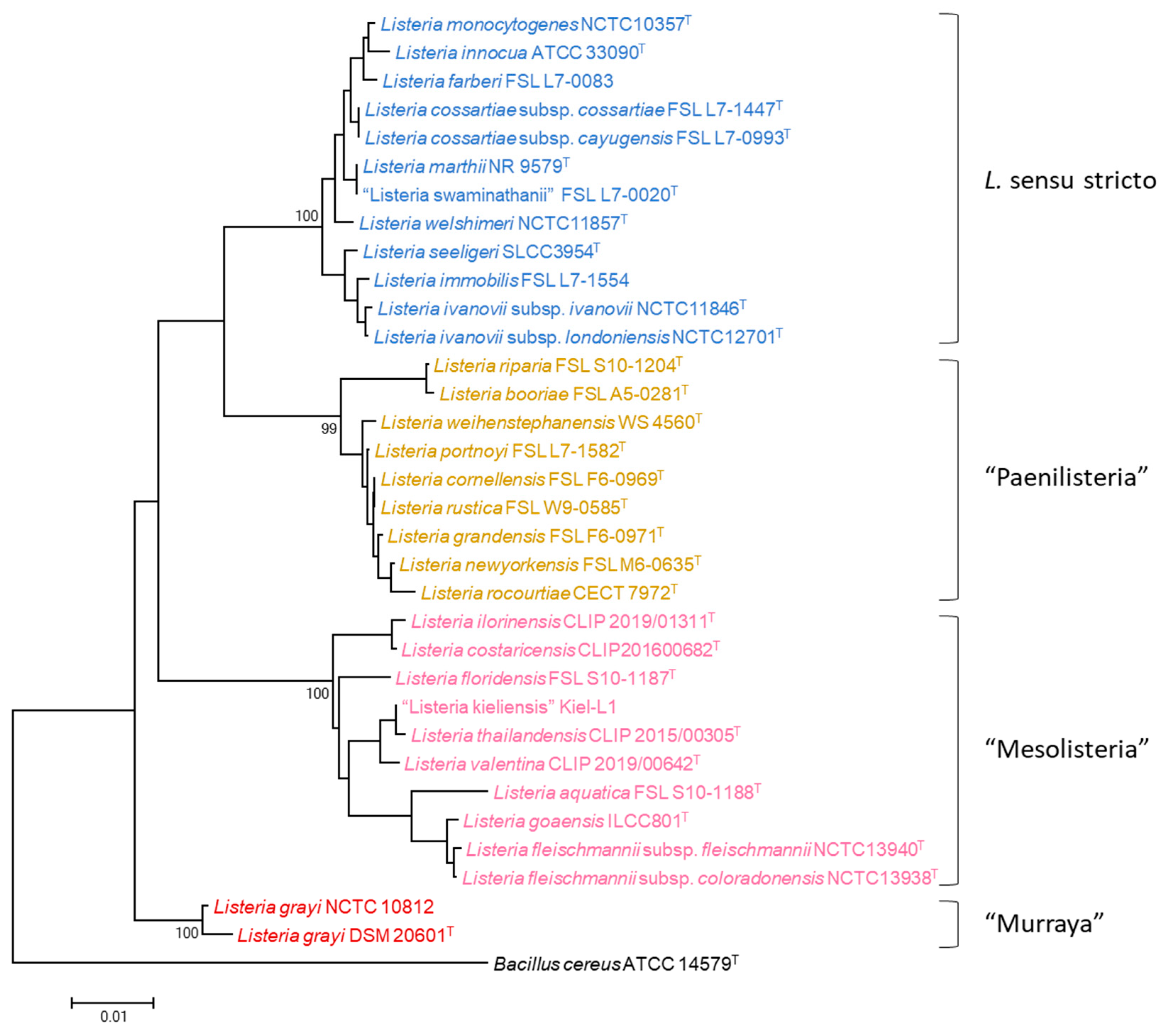 Microbiolres 15 00142 g001
