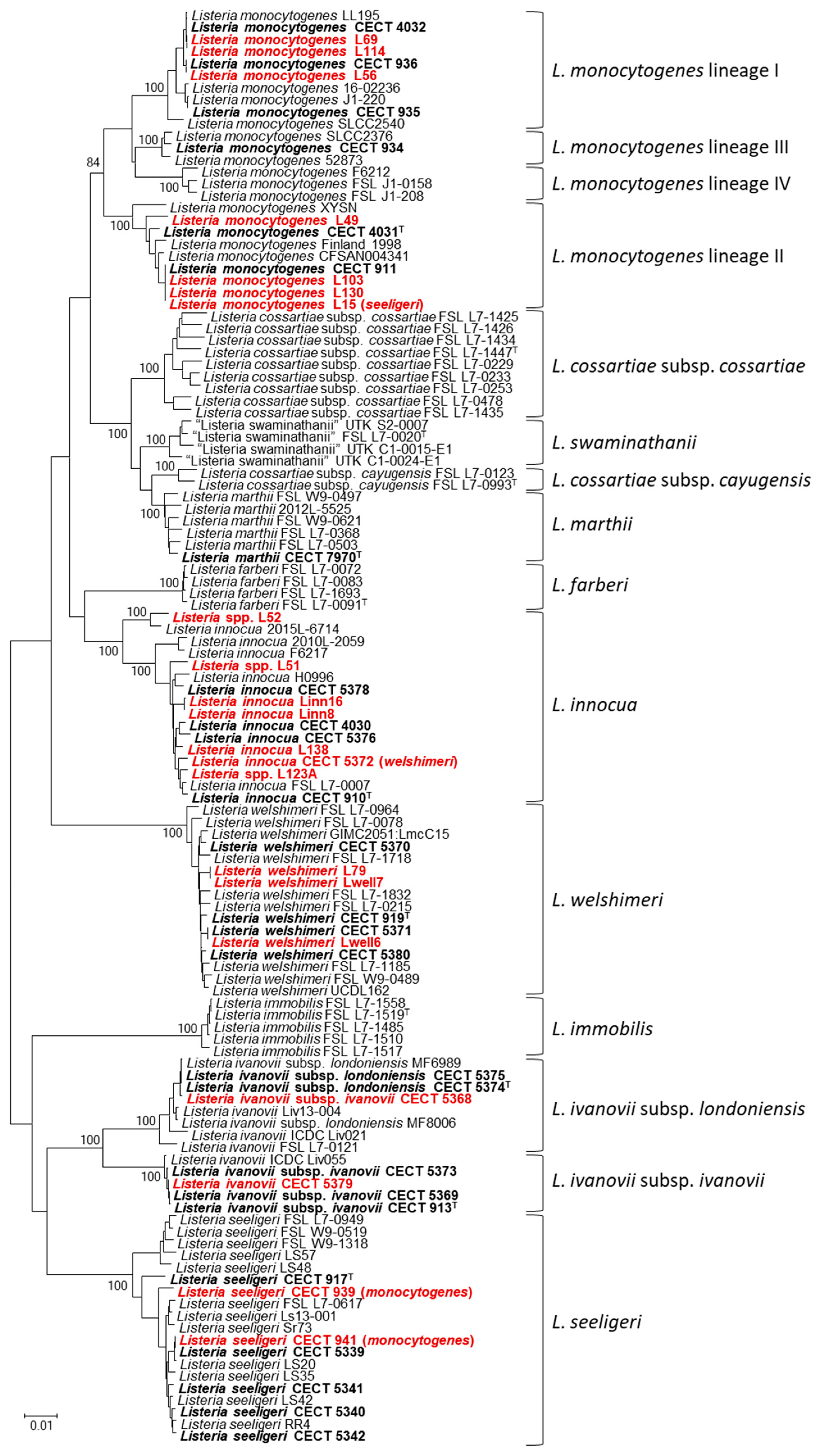 Microbiolres 15 00142 g004