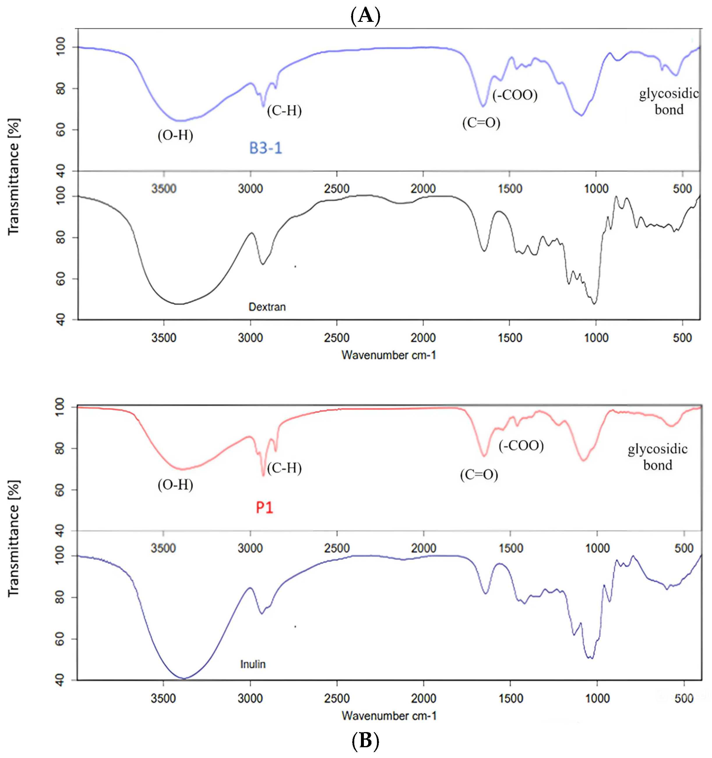 Microbiolres 15 00148 g002