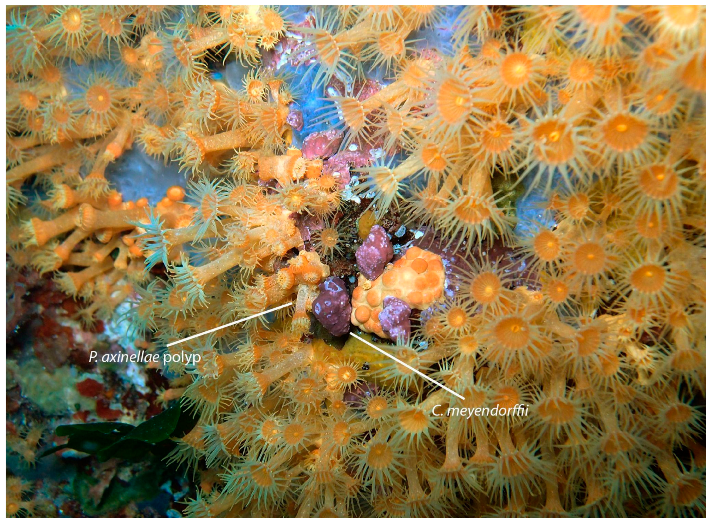 Microbiolres 15 00157 g001 Microbiolres 15 00157 g001