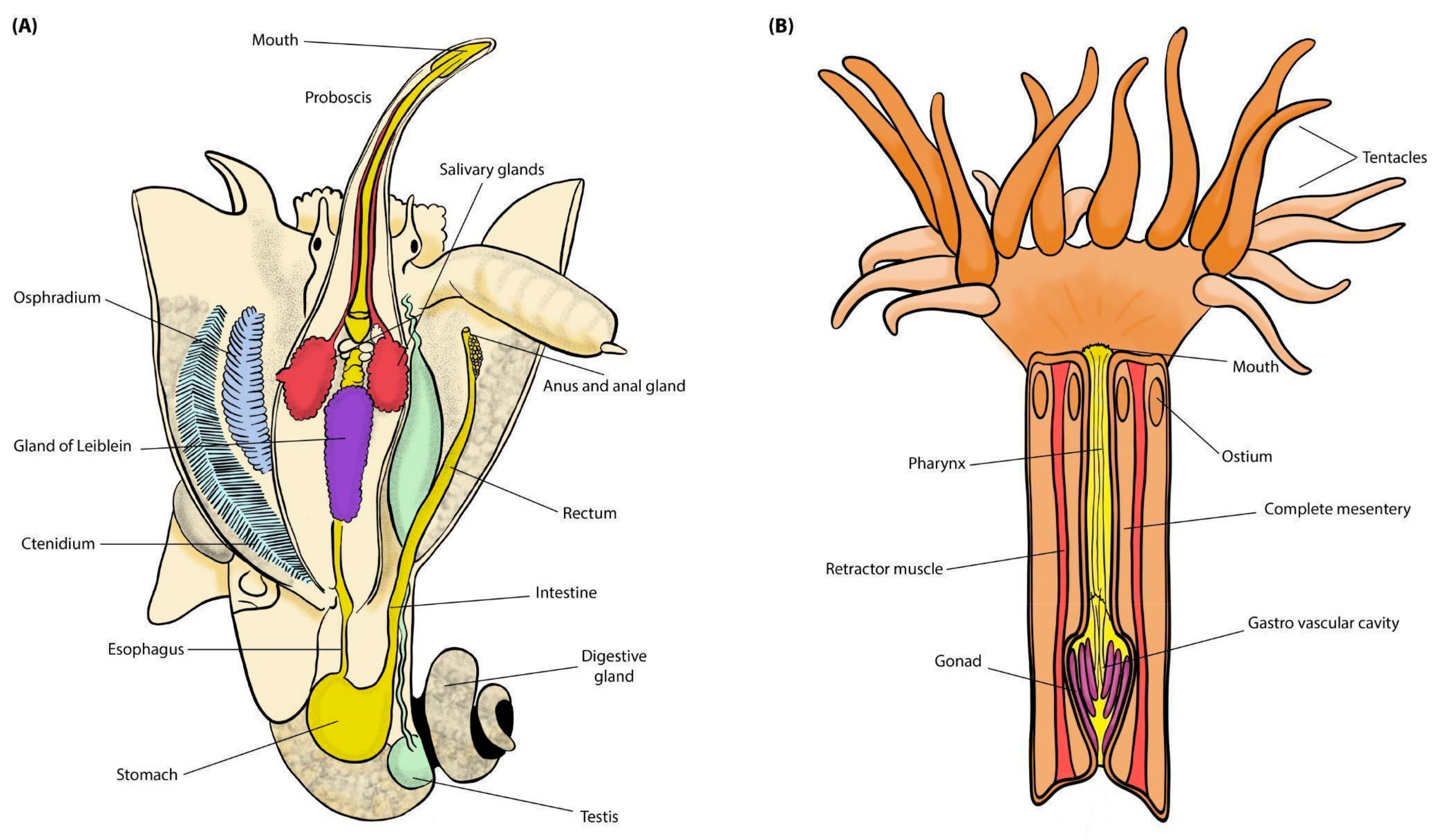 Microbiolres 15 00157 g002 Microbiolres 15 00157 g002