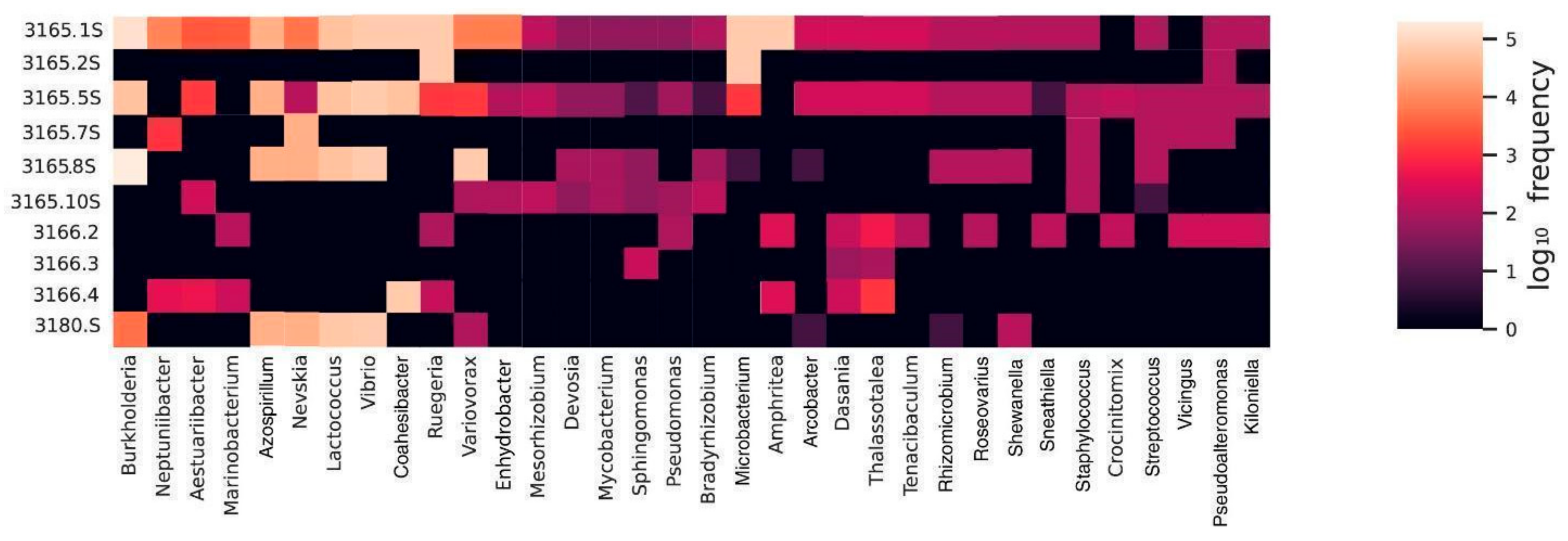 Microbiolres 15 00157 g006 Microbiolres 15 00157 g006