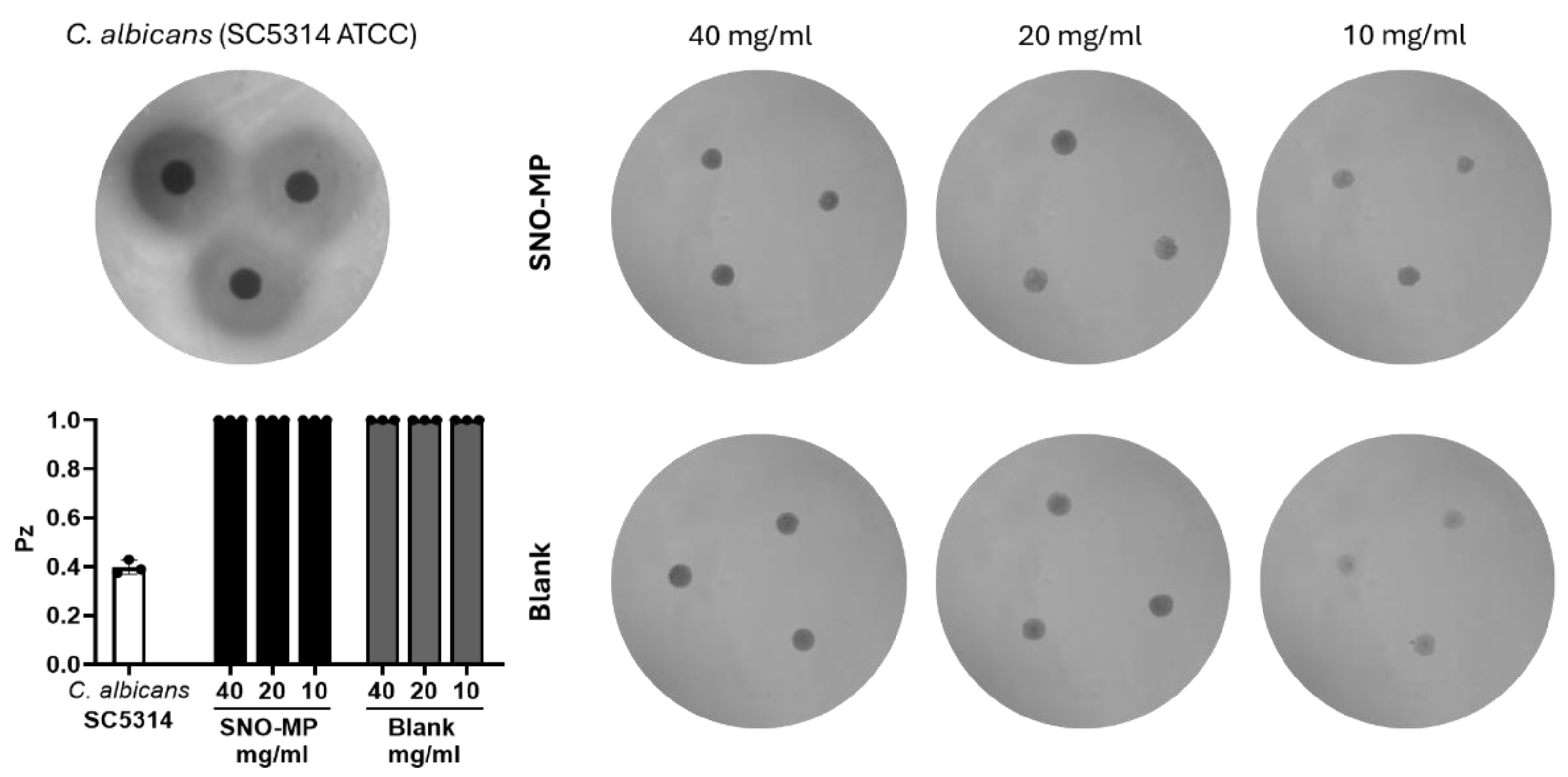 Microbiolres 16 00015 g003