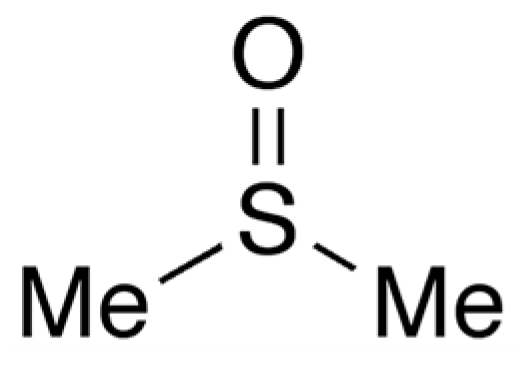 Microbiolres 16 00021 g001 Microbiolres 16 00021 g001