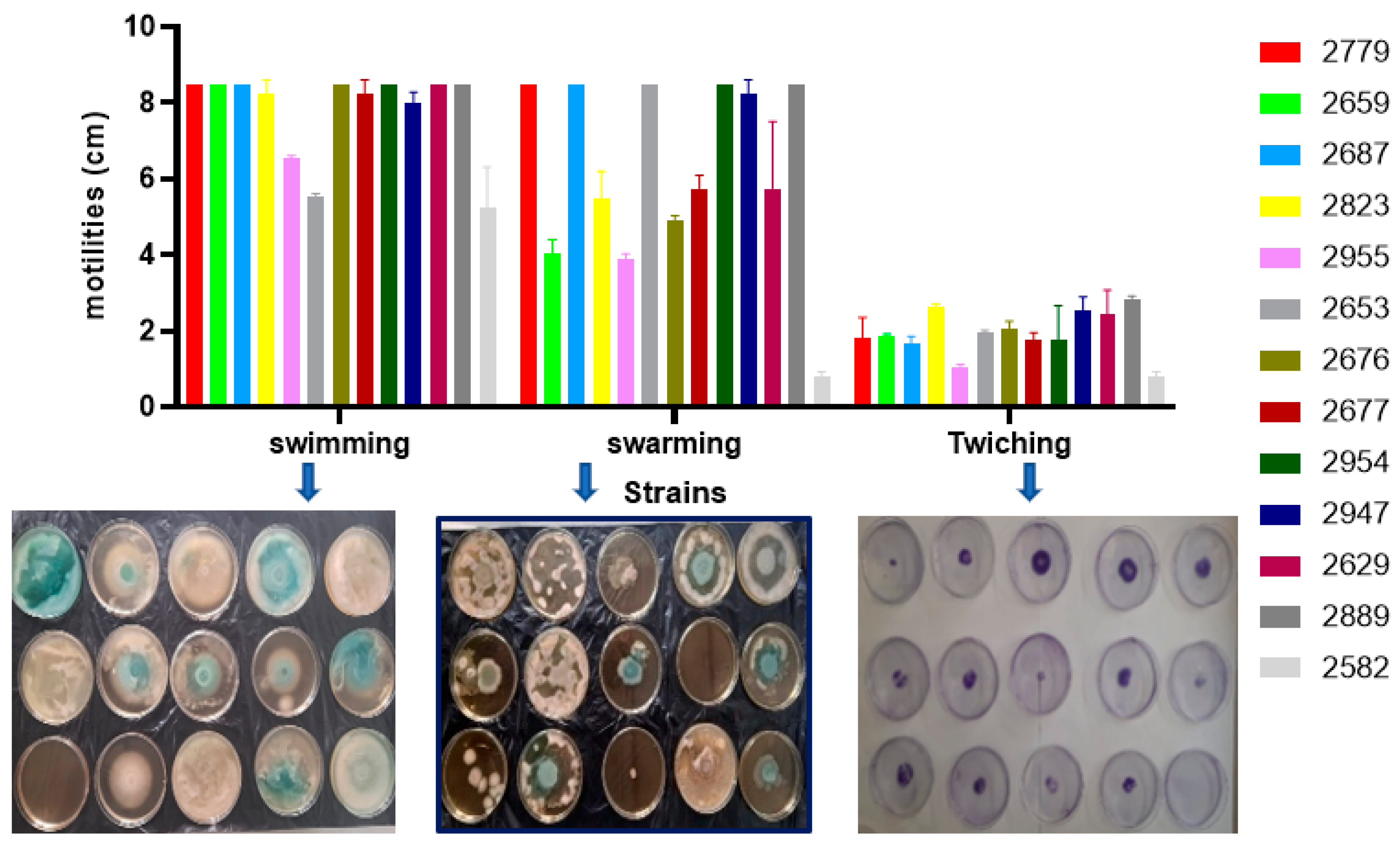Microbiolres 16 00062 g003