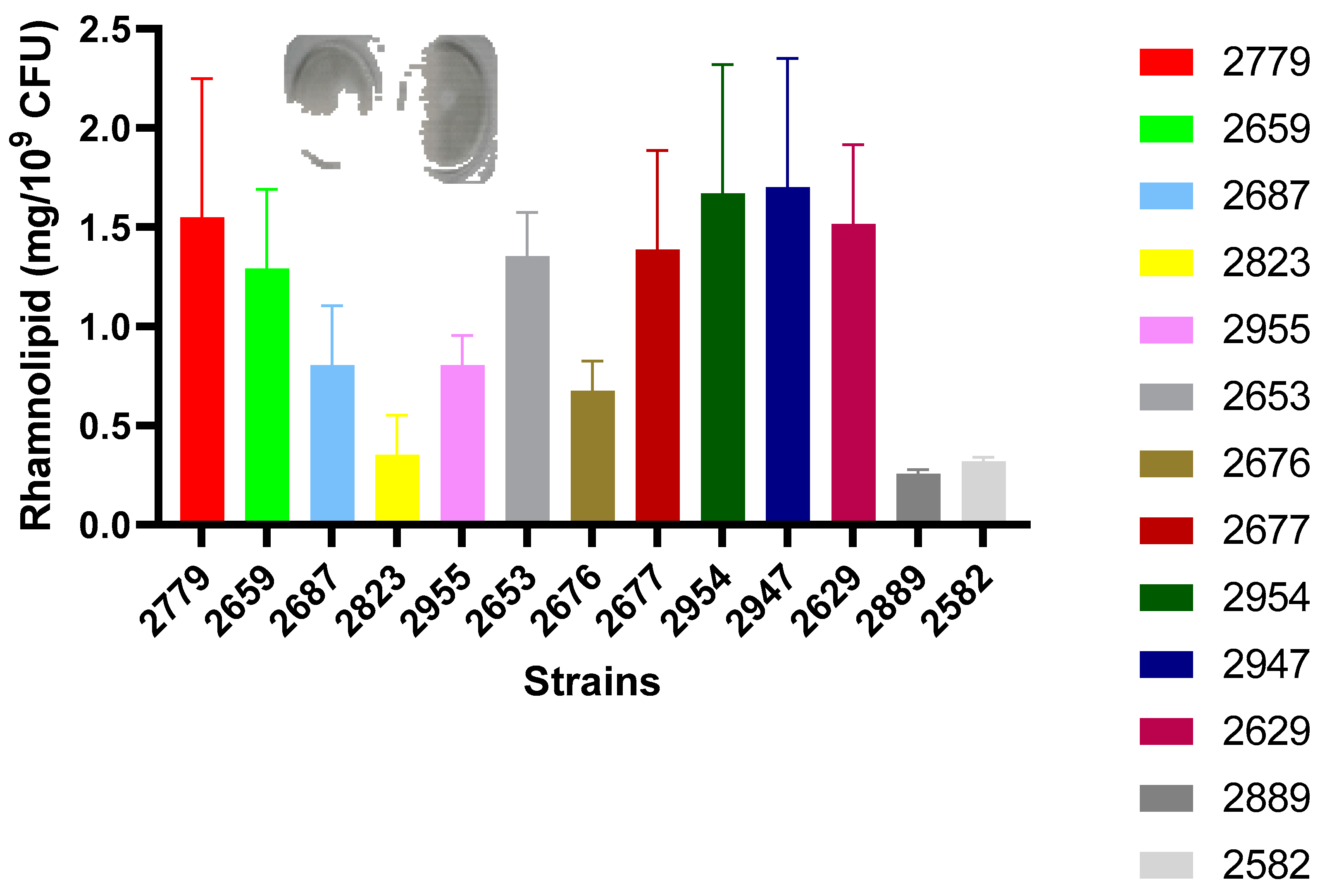 Microbiolres 16 00062 g005