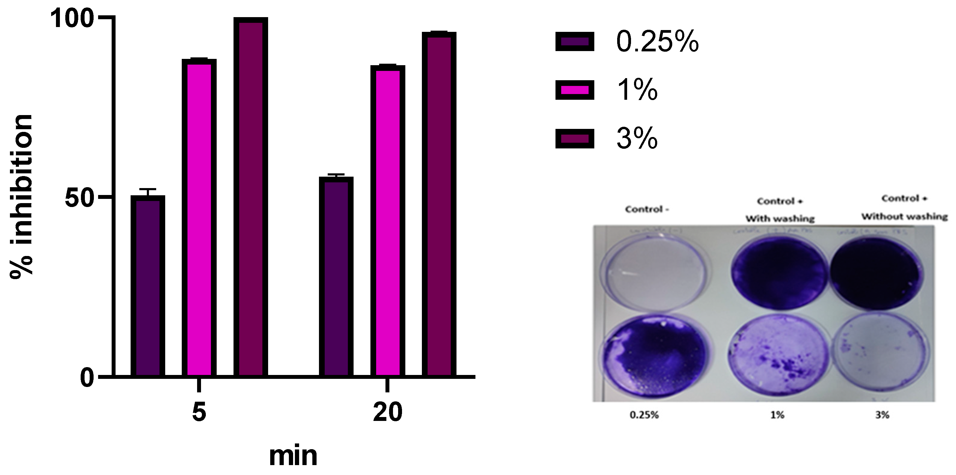 Microbiolres 16 00062 g007