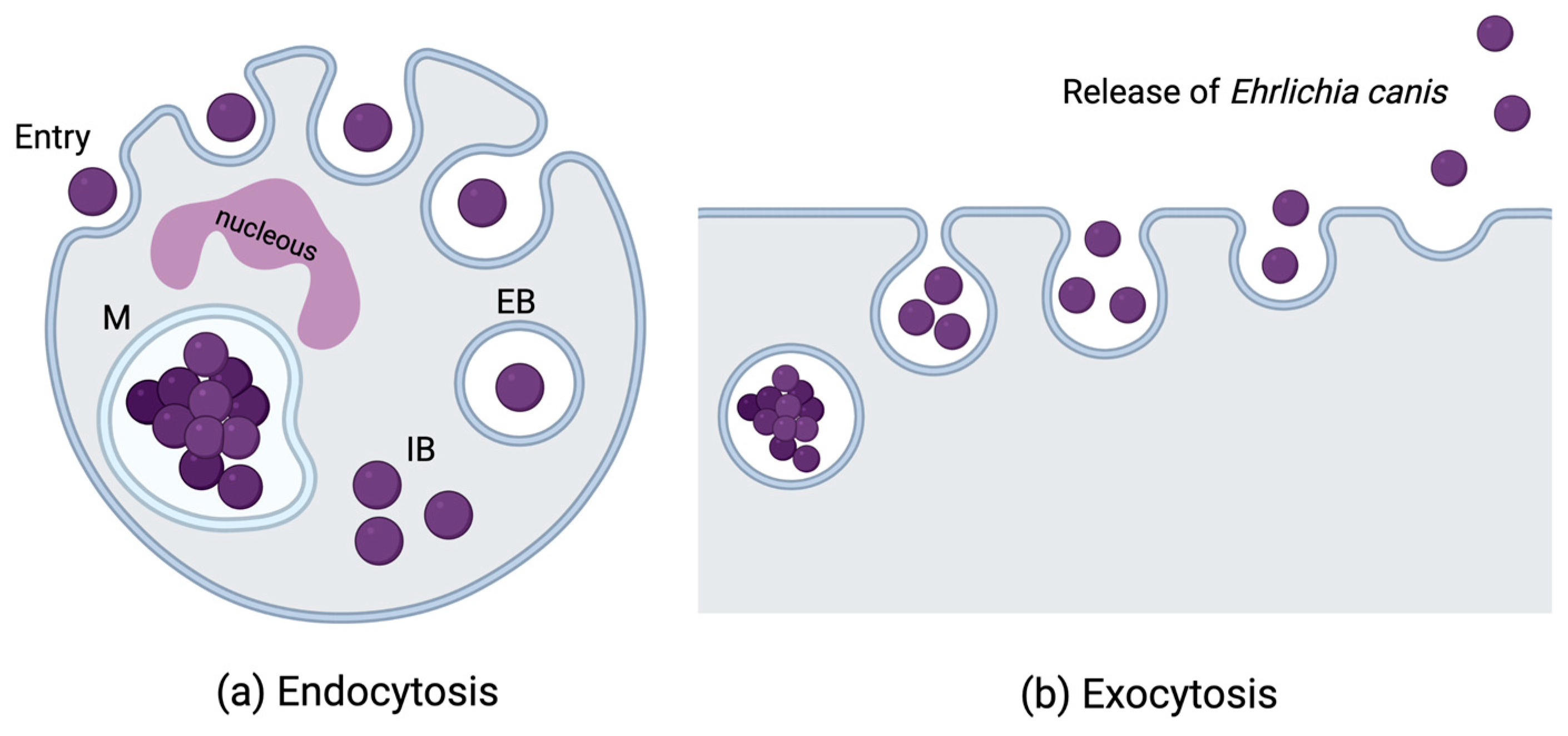Microbiolres 16 00085 g001