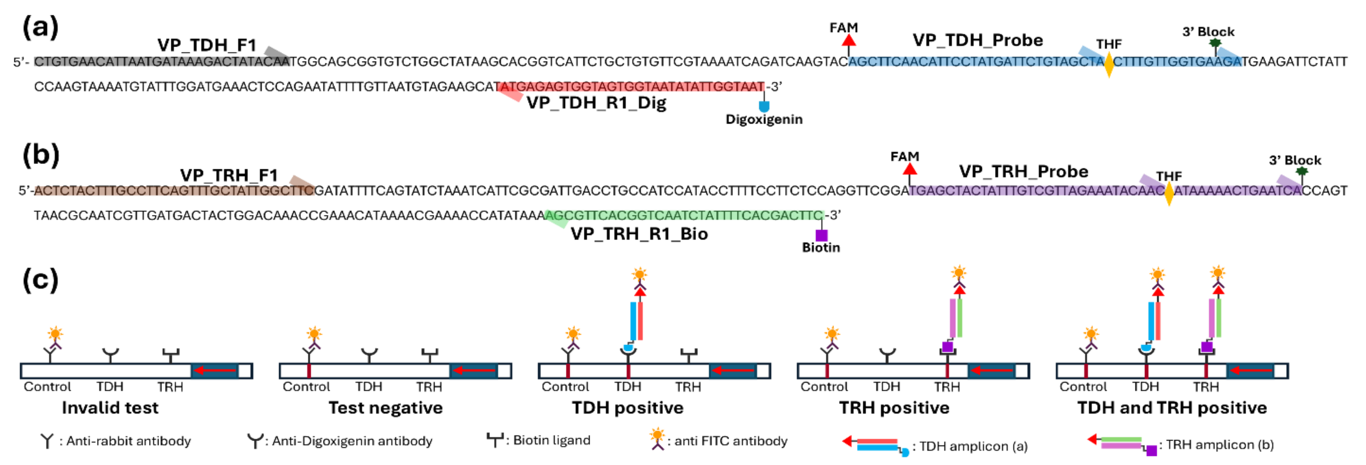 Microbiolres 16 00087 g001