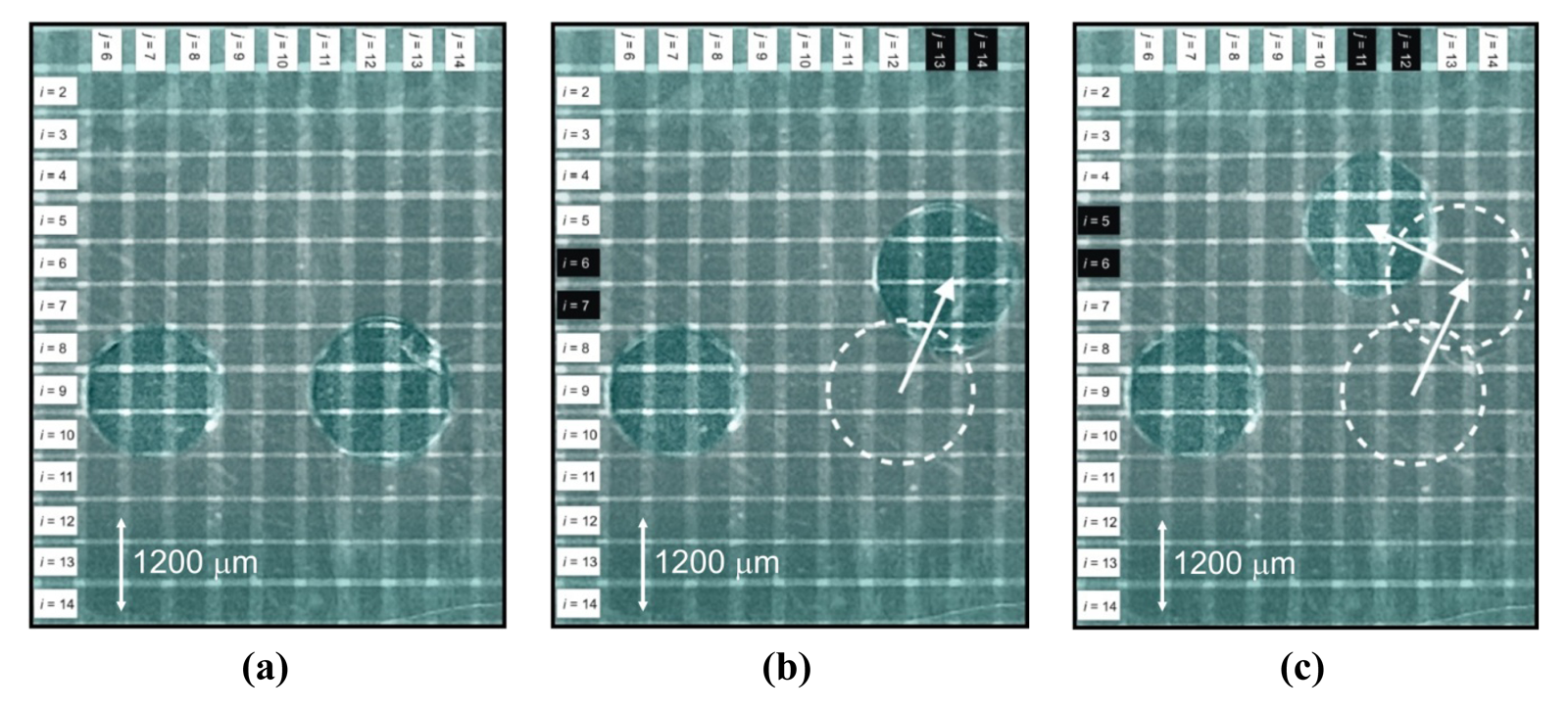 Micromachines 02 00369f6 1024