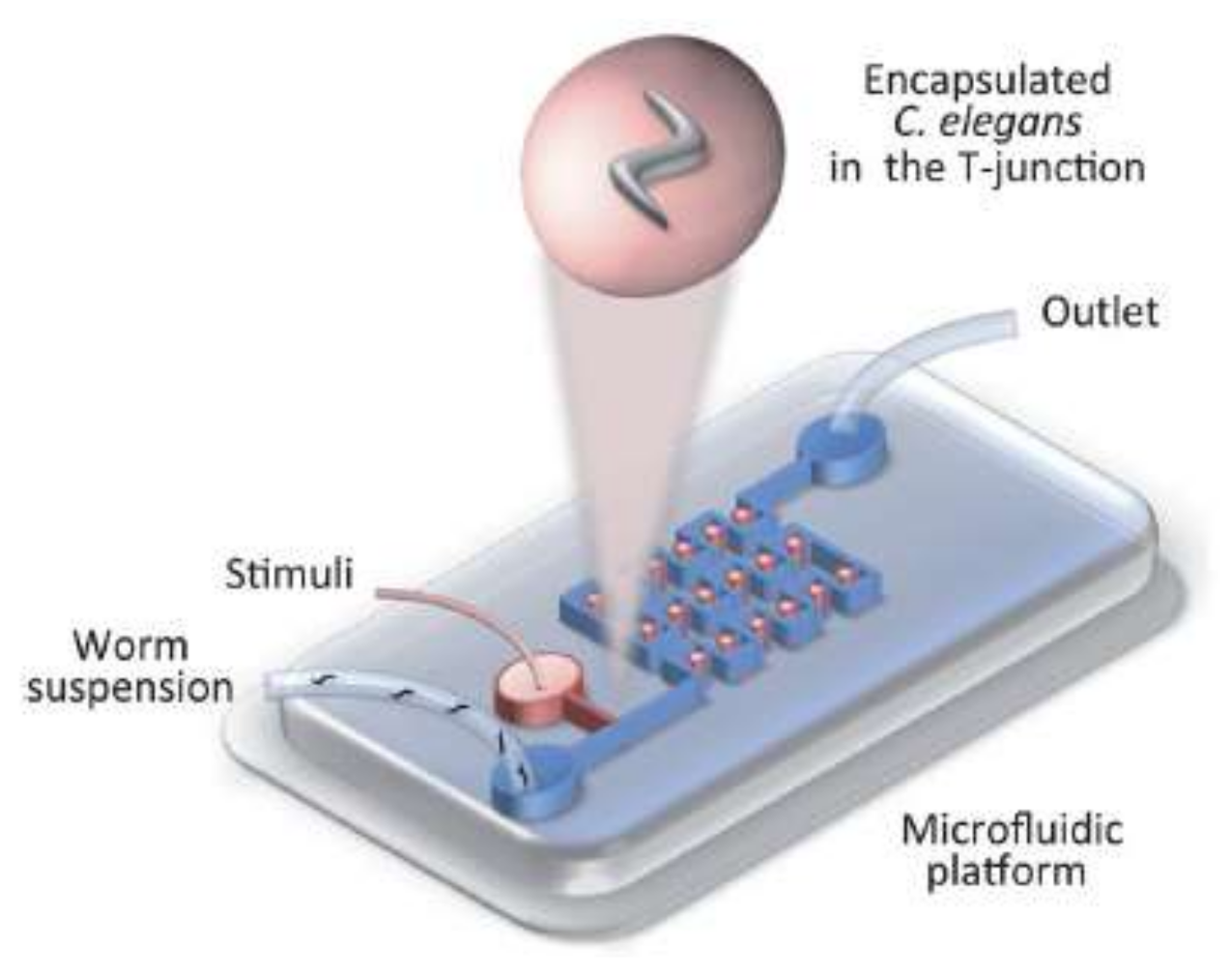 Cellasic onix2 microfluidic system