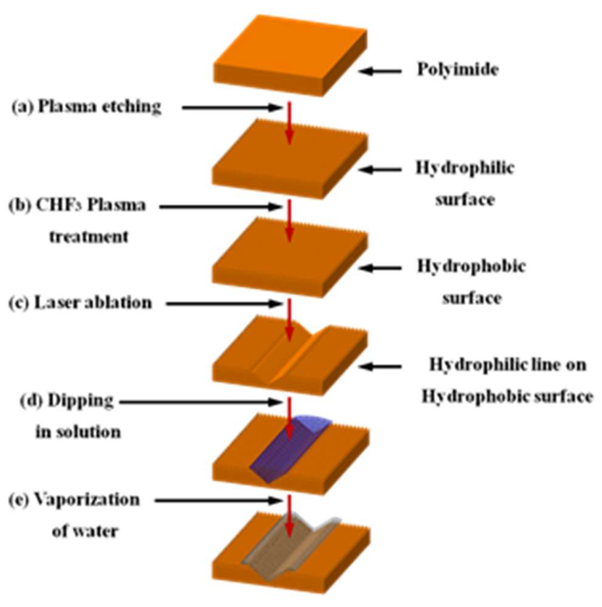 Assembled Monolayers of Hydrophilic Particles on Water Surfaces