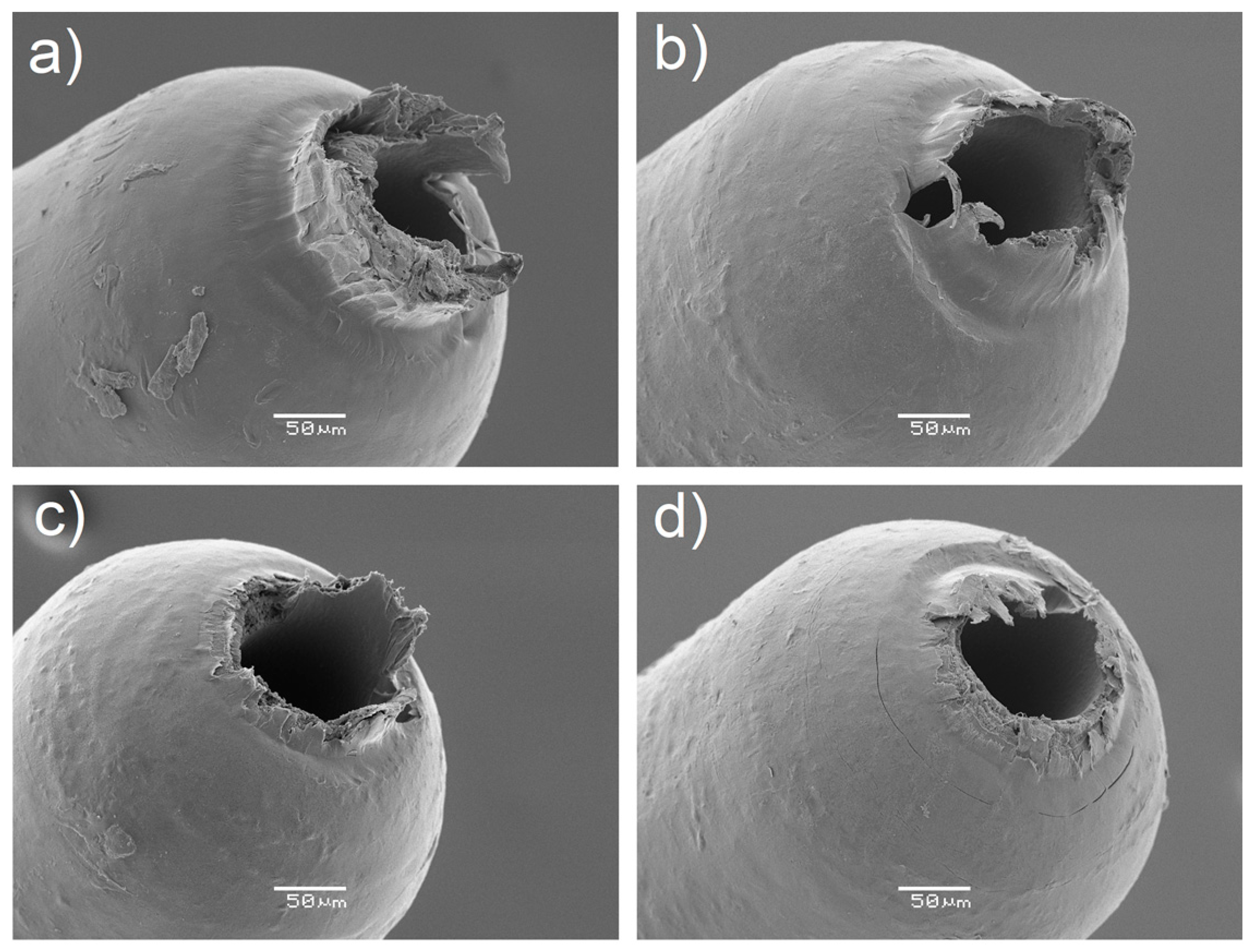 Micromachines 09 00293 g013