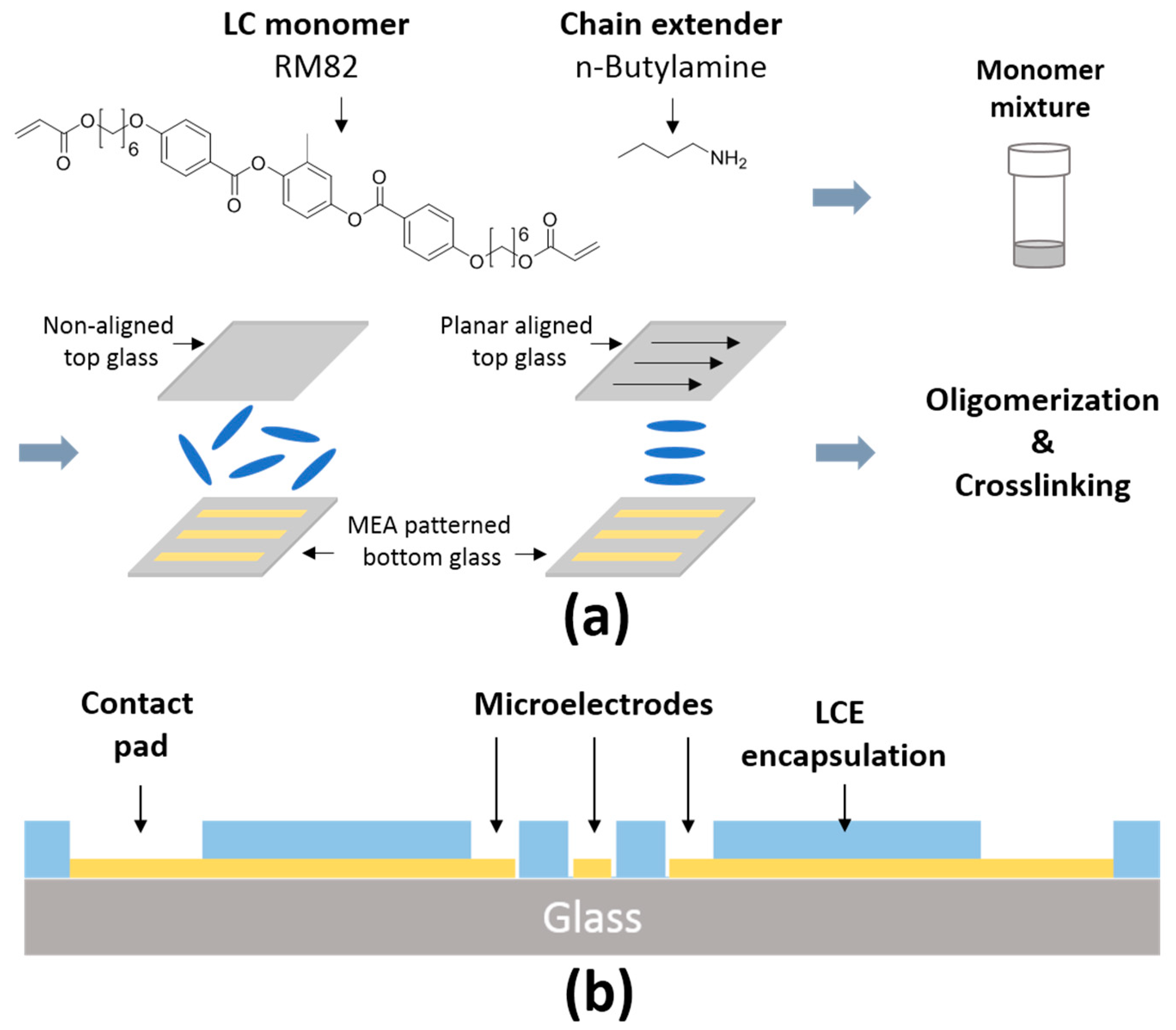 Micromachines Free Full Text Liquid Crystal Elastomer Based Microelectrode Array For In Vitro Neuronal Recordings Html