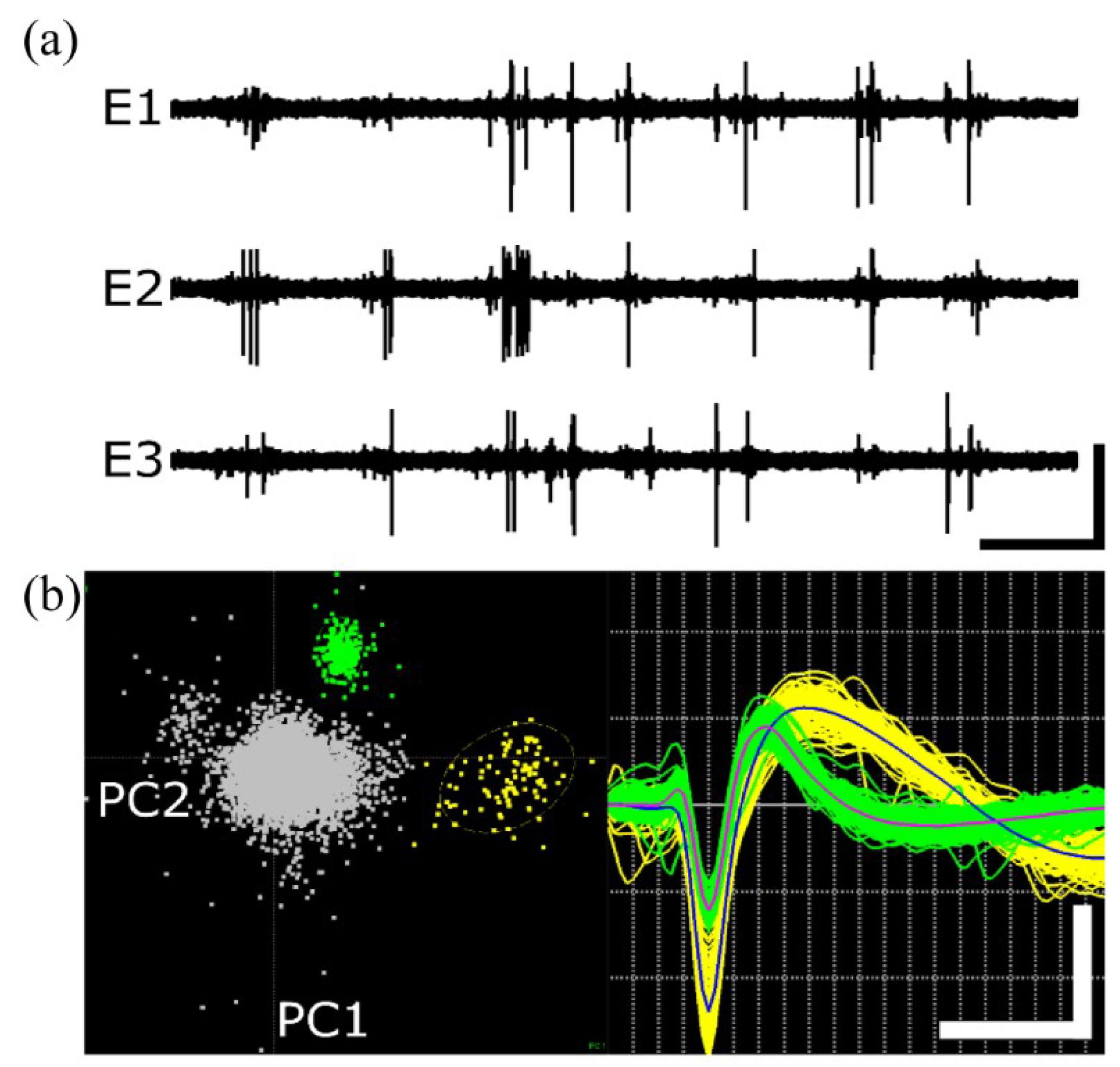 Micromachines 09 00480 g008