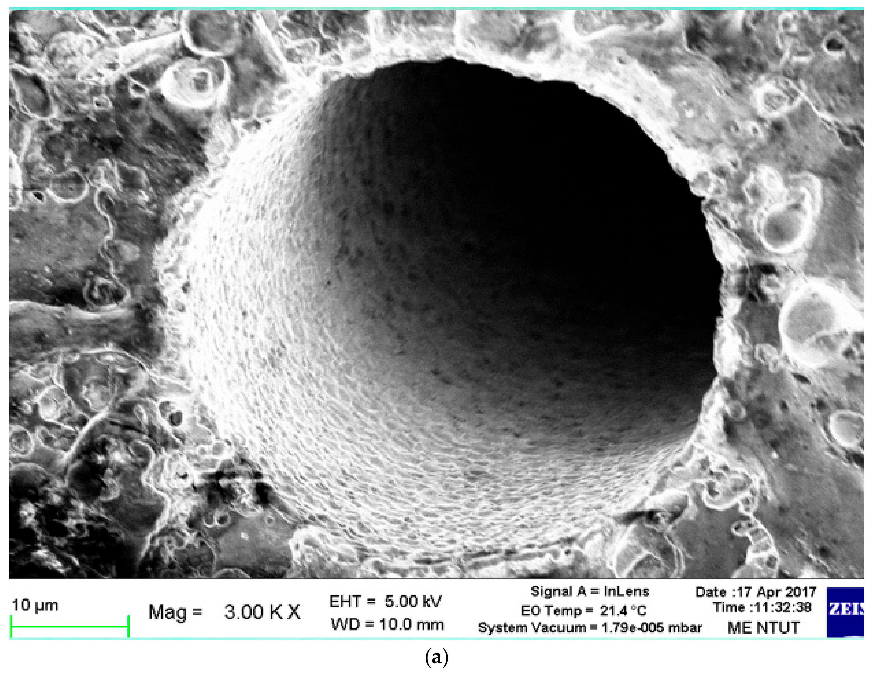 Micromachines 09 00512 g012a
