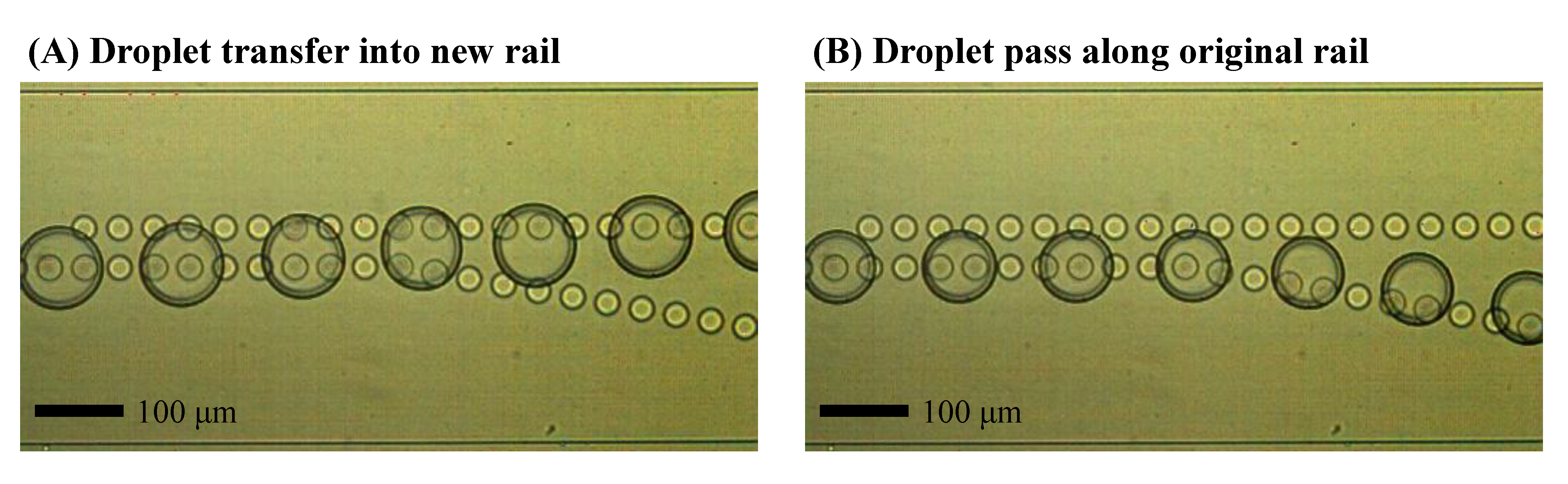 Micromachines 09 00513 g005