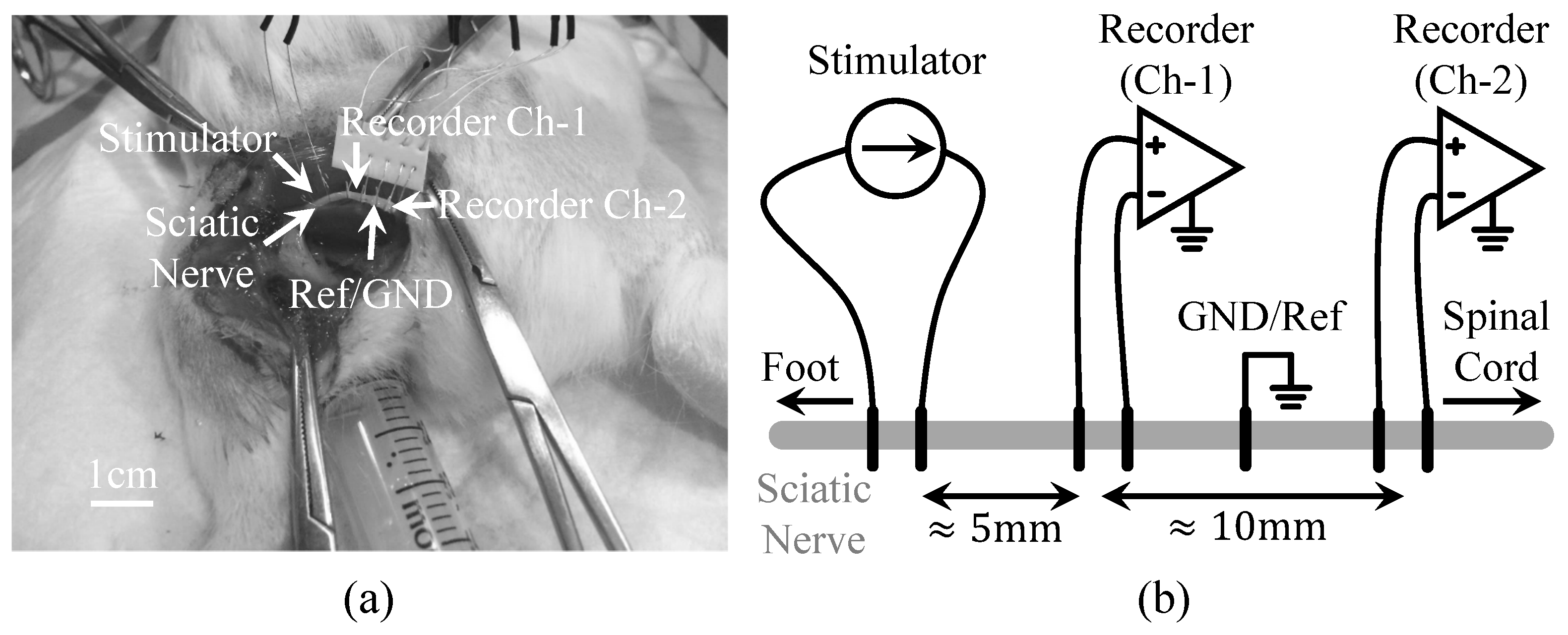 Micromachines 09 00538 g007
