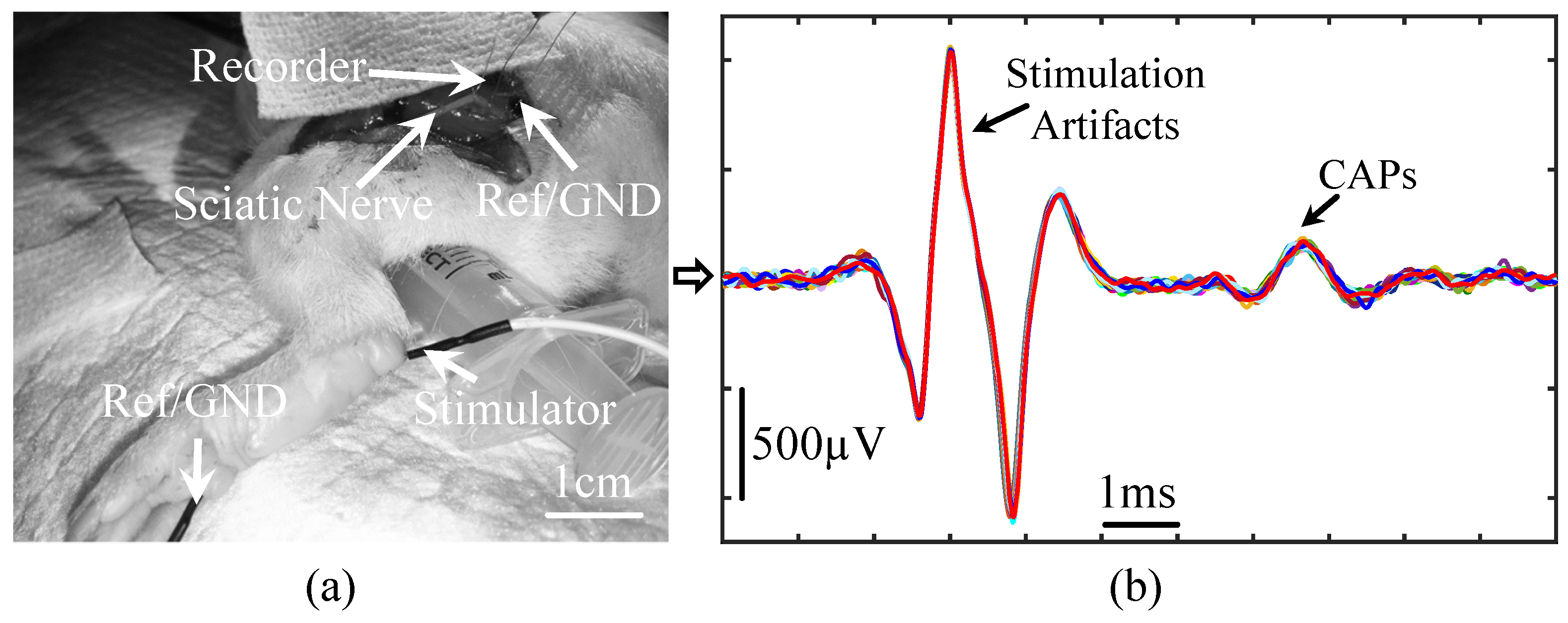 Micromachines 09 00538 g008