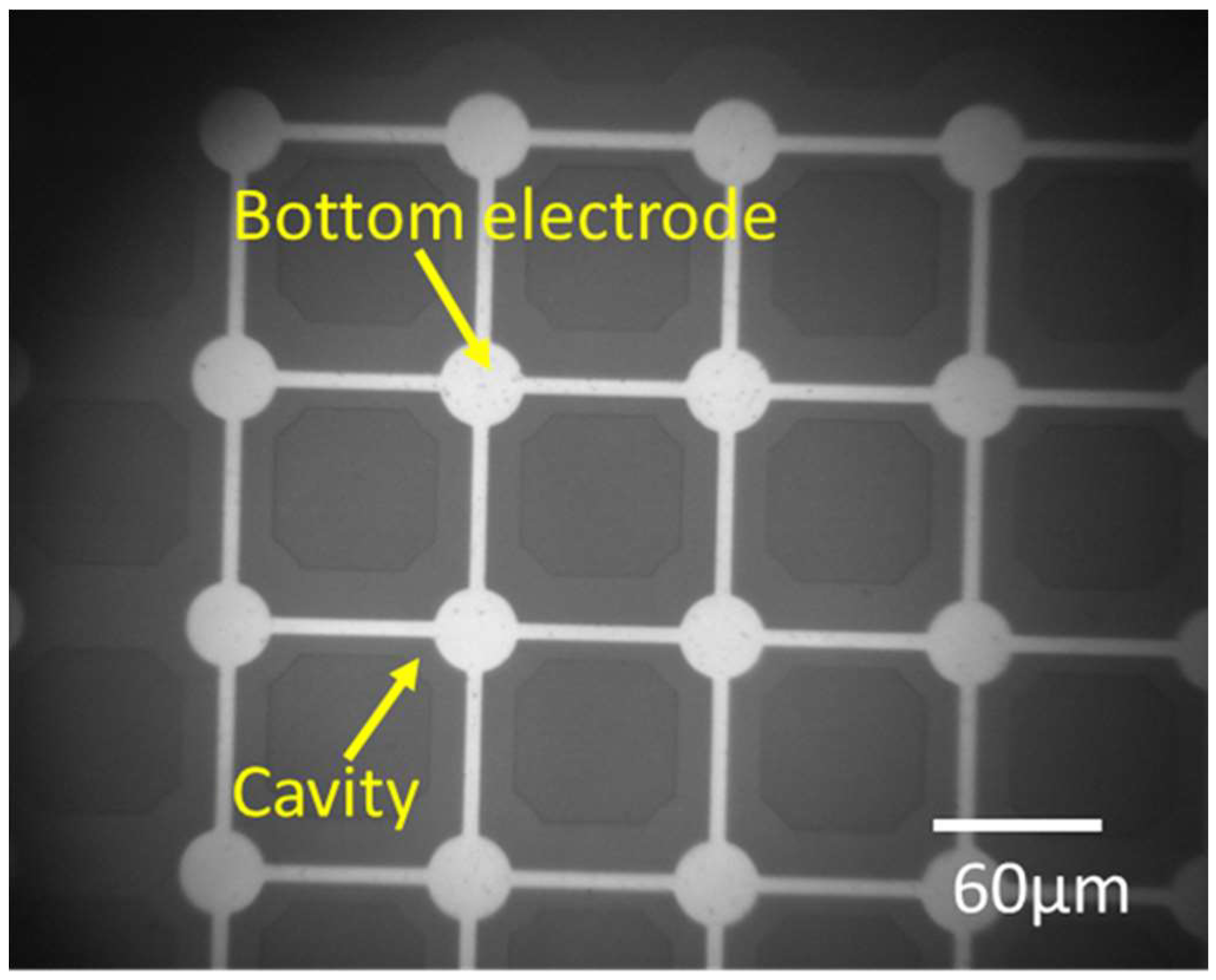 Micromachines 09 00553 g012