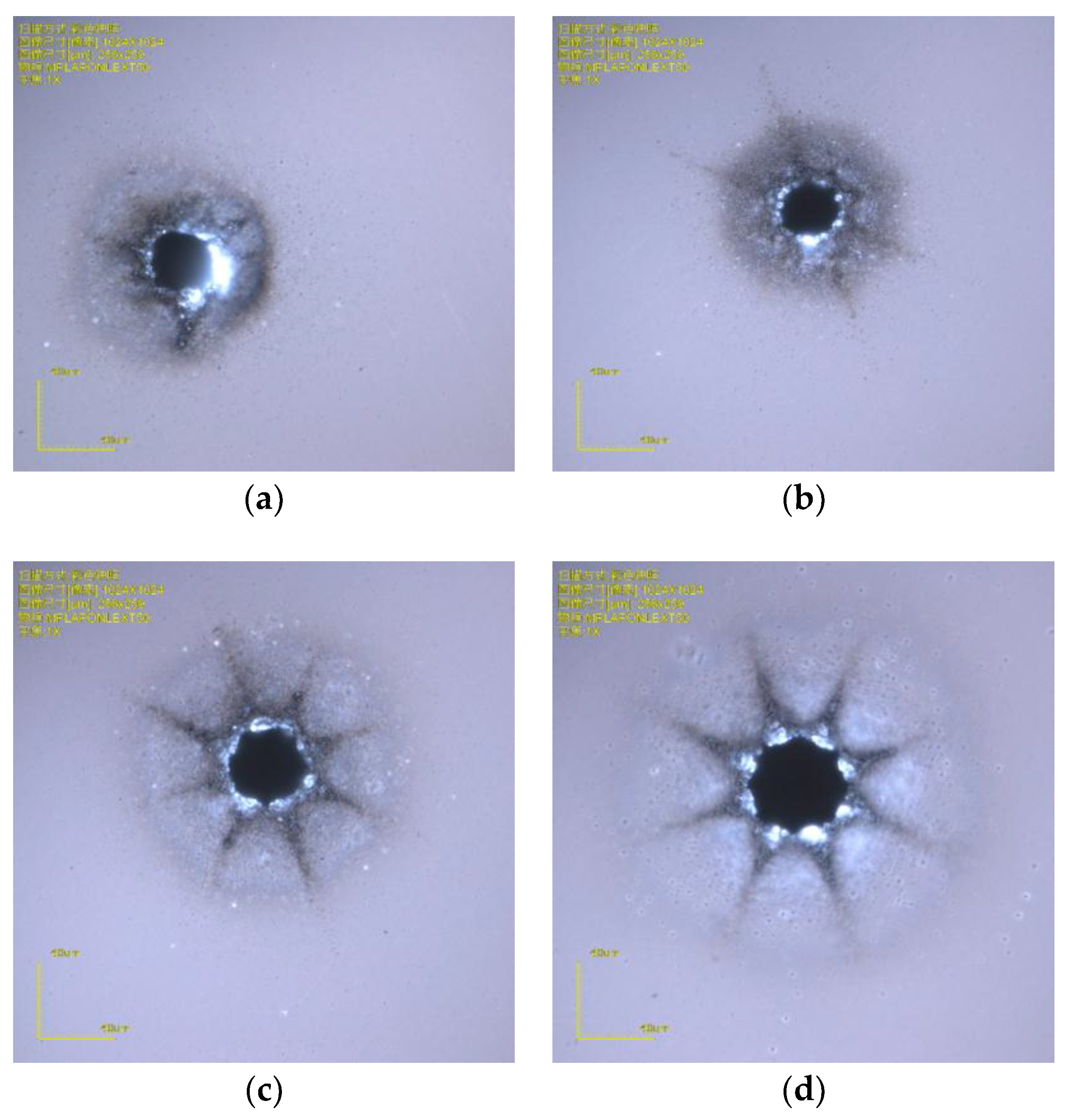 Micromachines 10 00015 g001