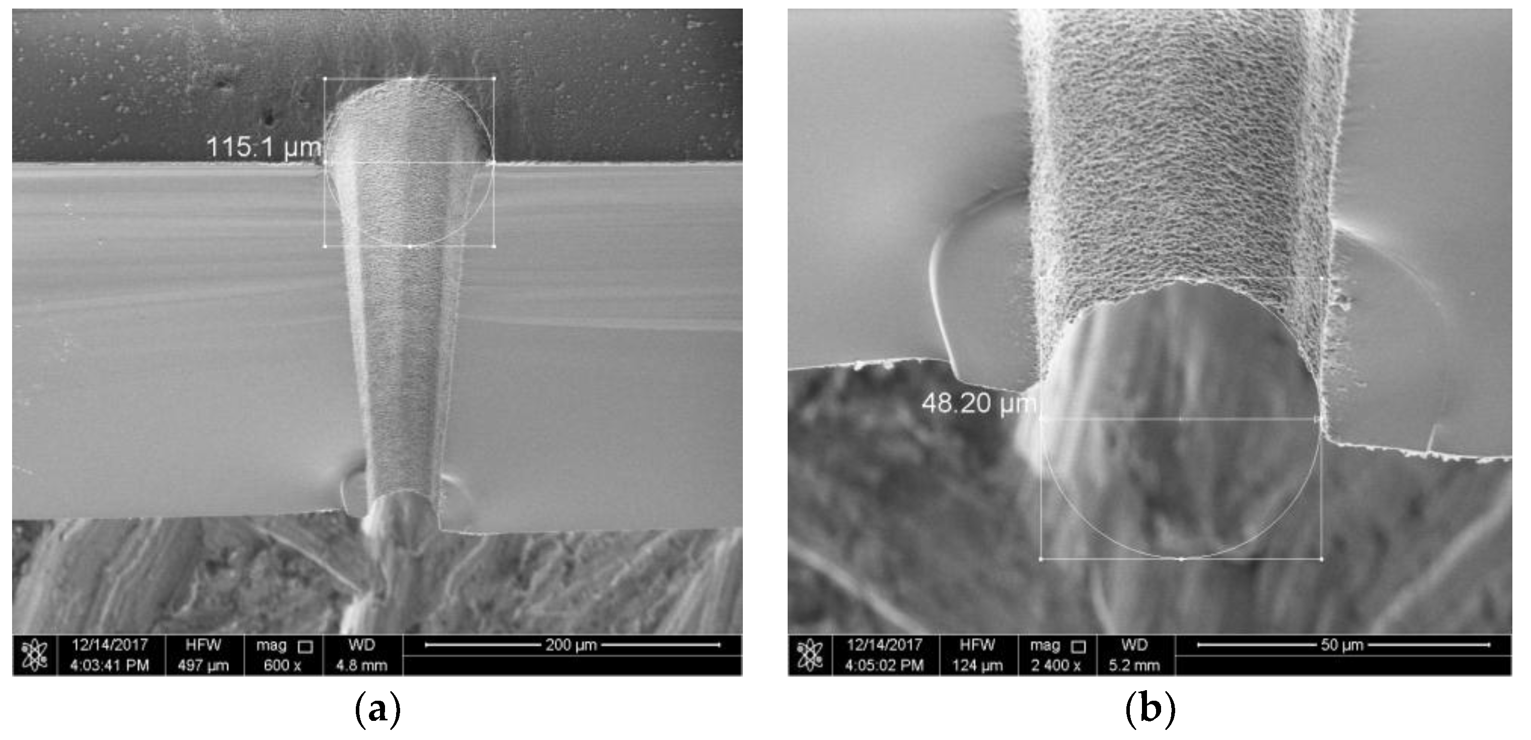 Micromachines 10 00015 g006