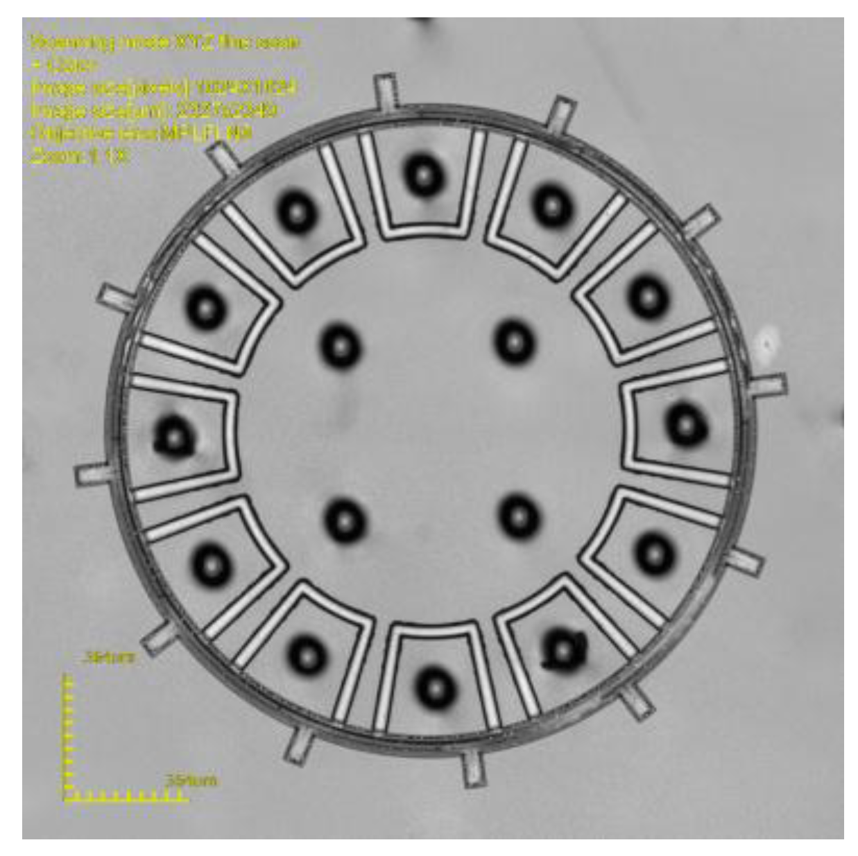 Micromachines 10 00015 g011