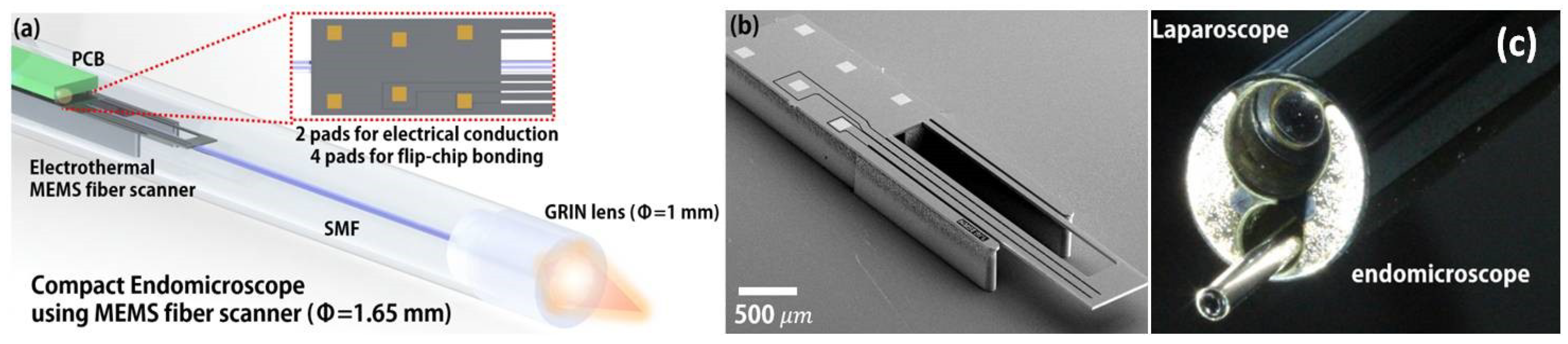Micromachines 10 00085 g009