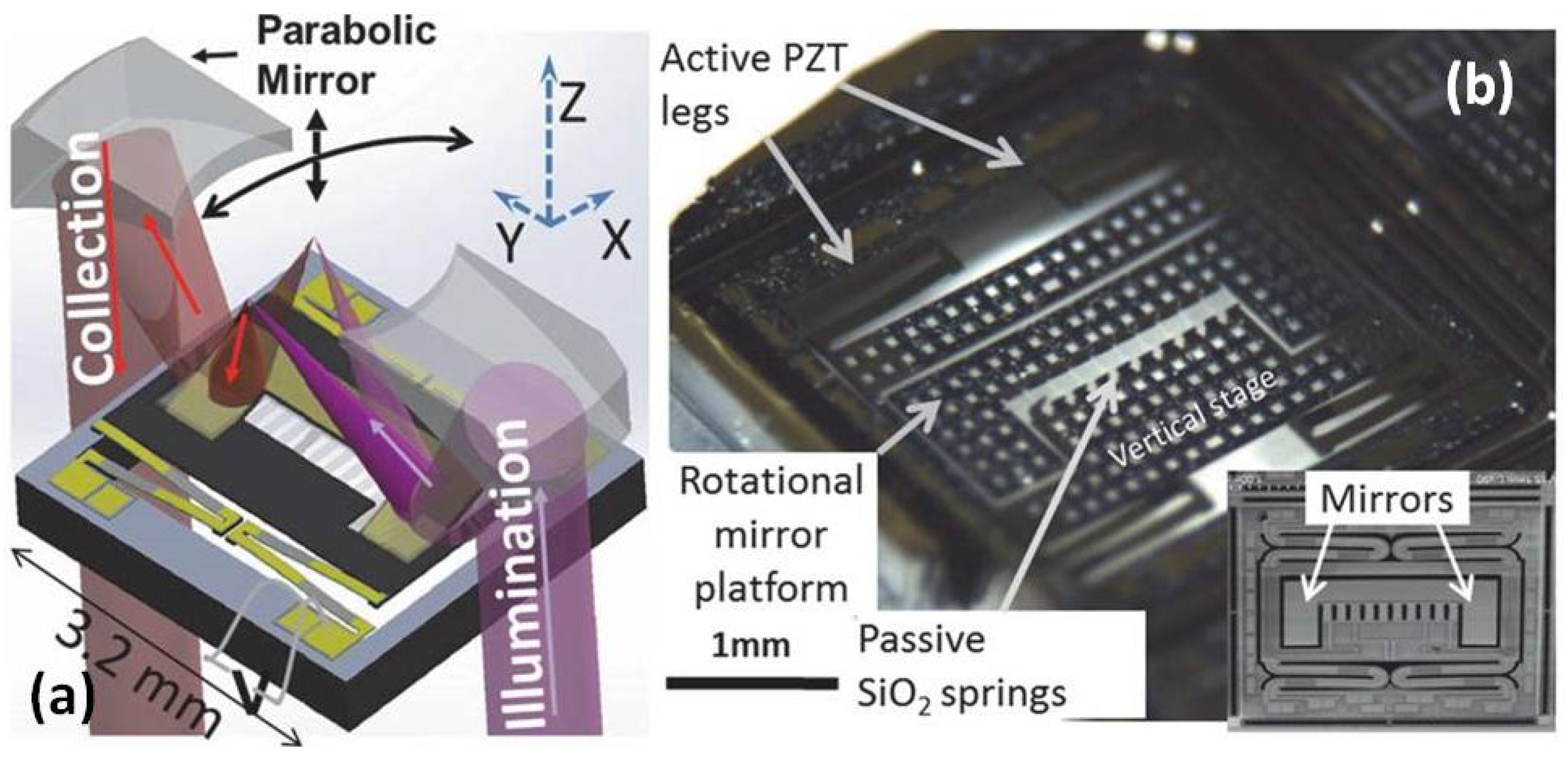 Micromachines 10 00085 g010