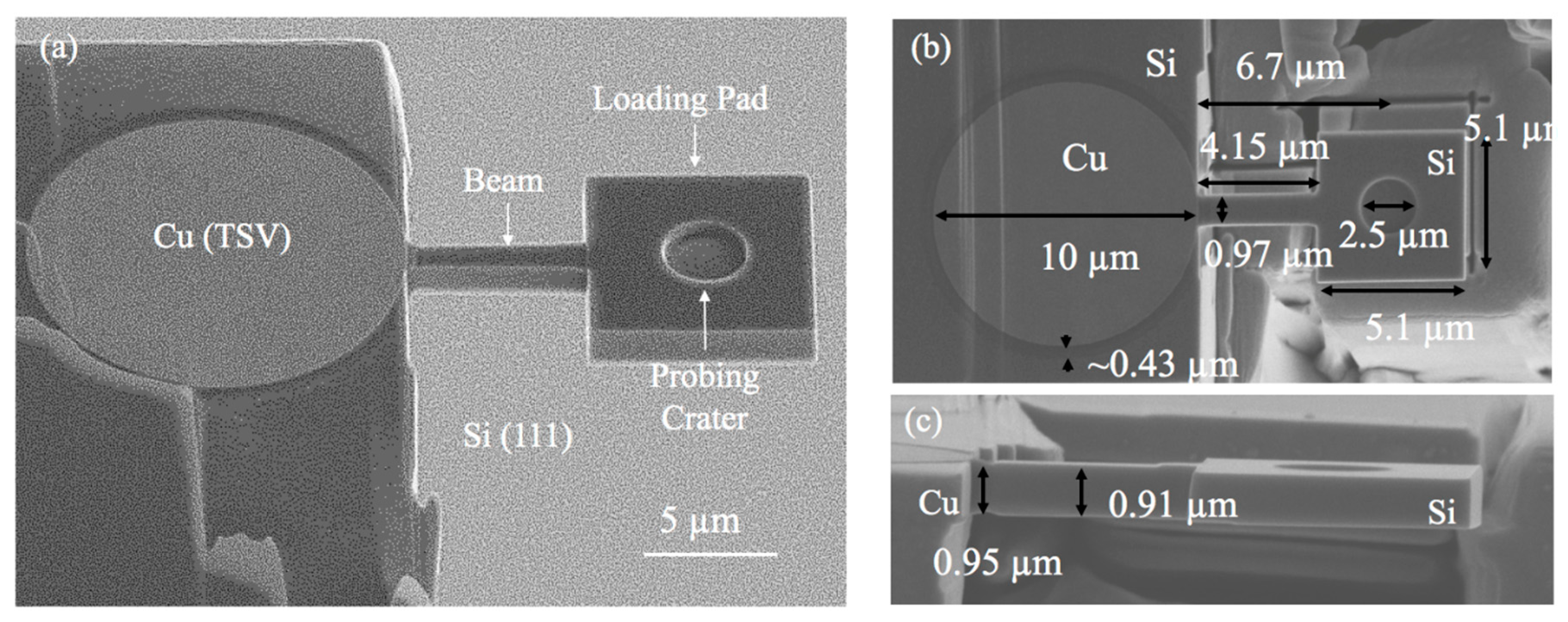 Micromachines 10 00086 g002