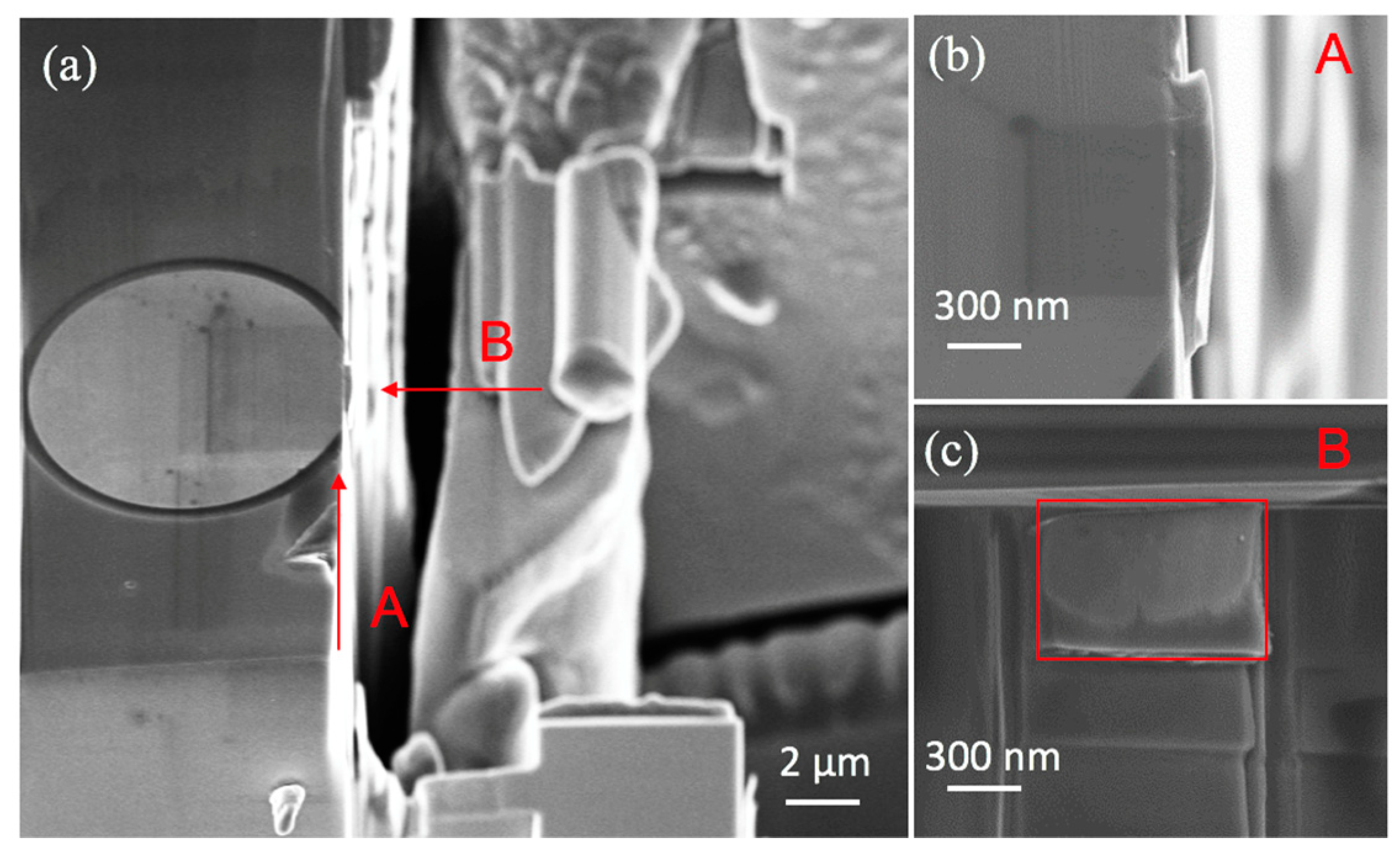 Micromachines 10 00086 g006