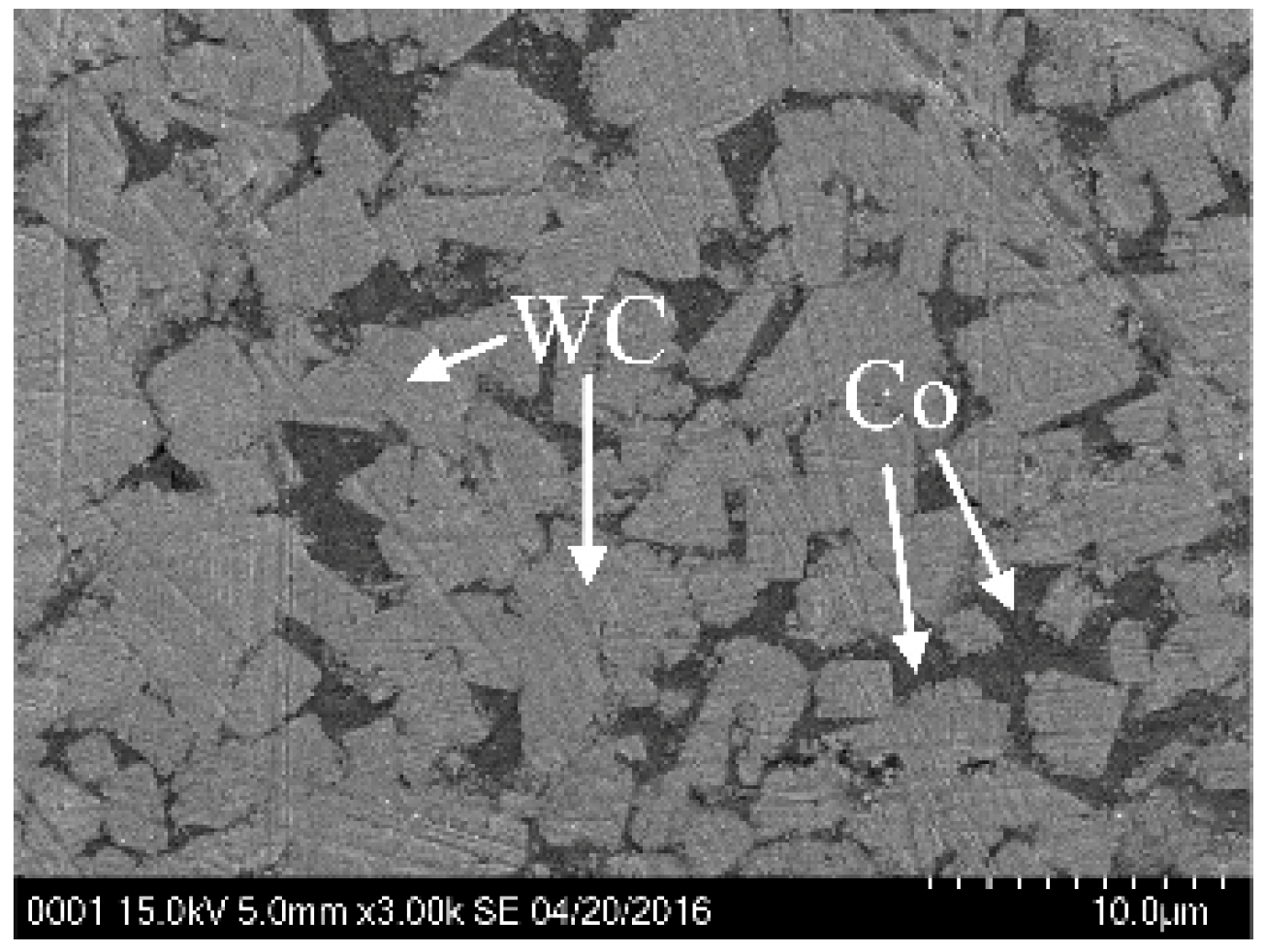 Micromachines 10 00147 g001