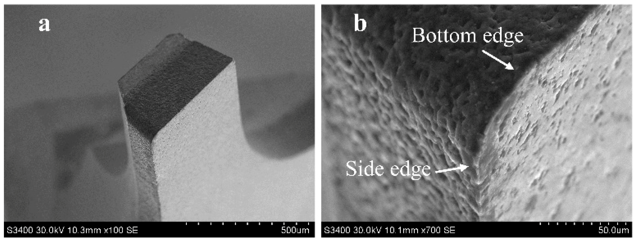 Micromachines 10 00147 g002