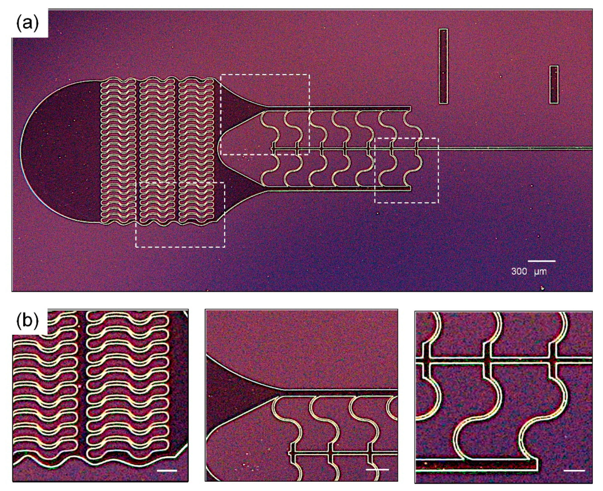 Micromachines 10 00192 g002 Micromachines 10 00192 g002